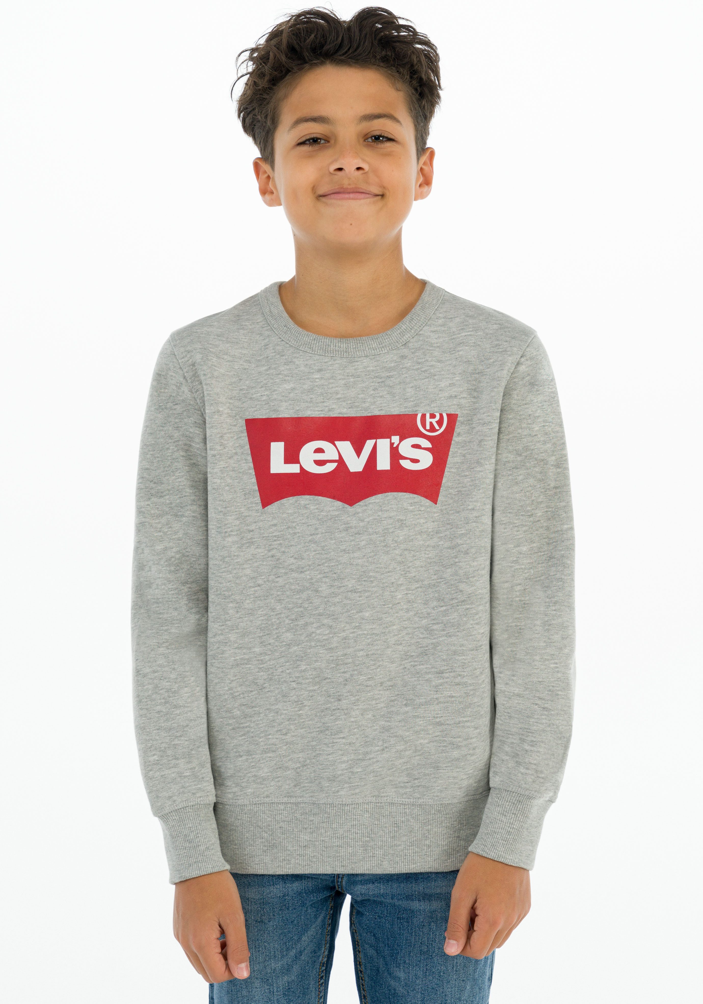 Levi's Kidswear Sweatshirt LVB LVB FRENCH TERRY BATWING