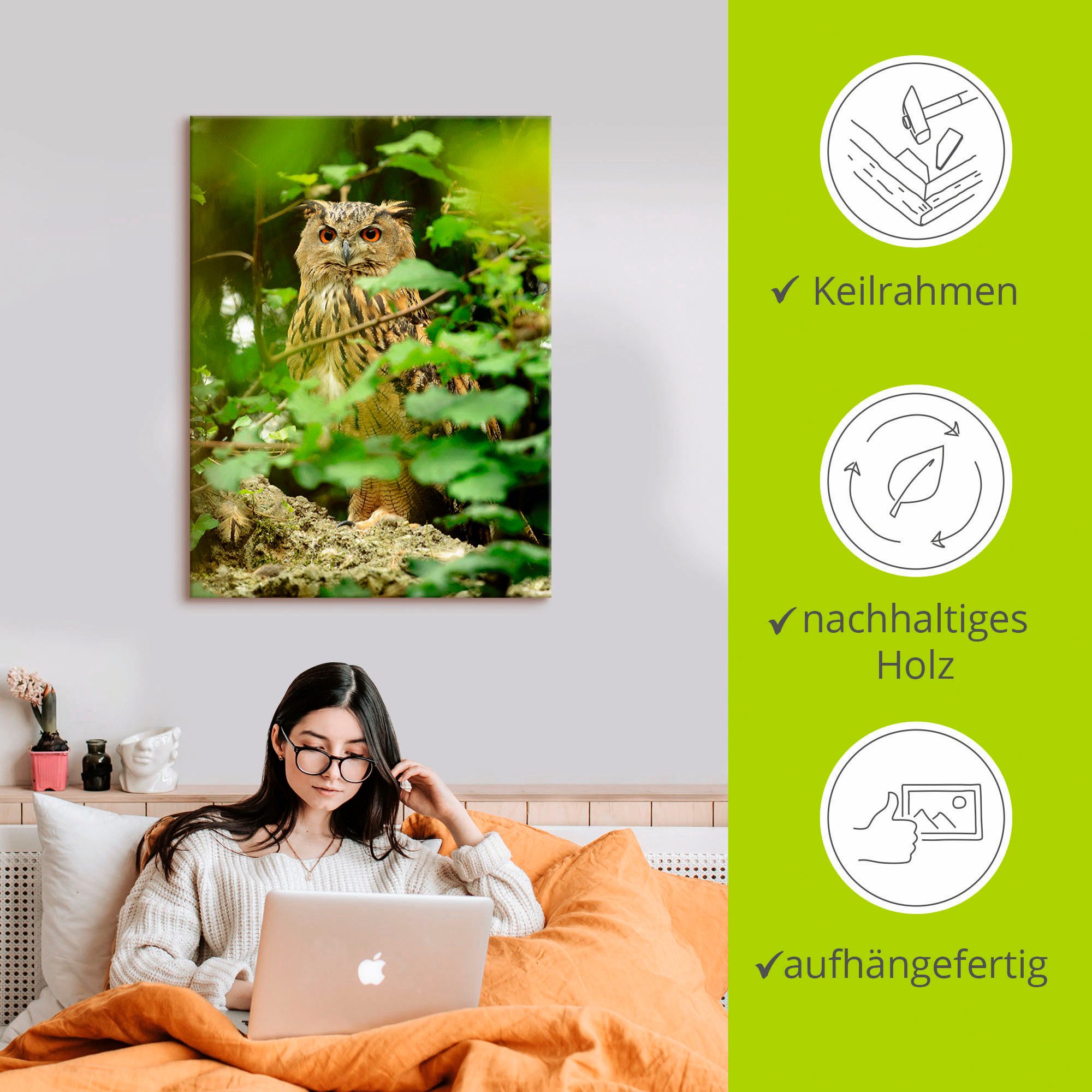 Artland Artprint Vogel oehoe als artprint op linnen, poster in verschillende formaten maten