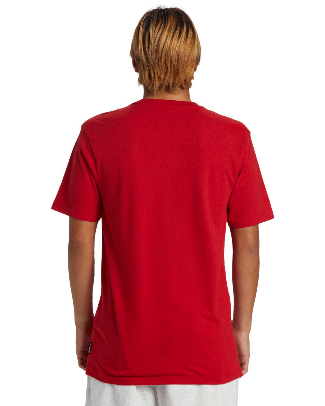 Quiksilver T-shirt QS Petroglyph