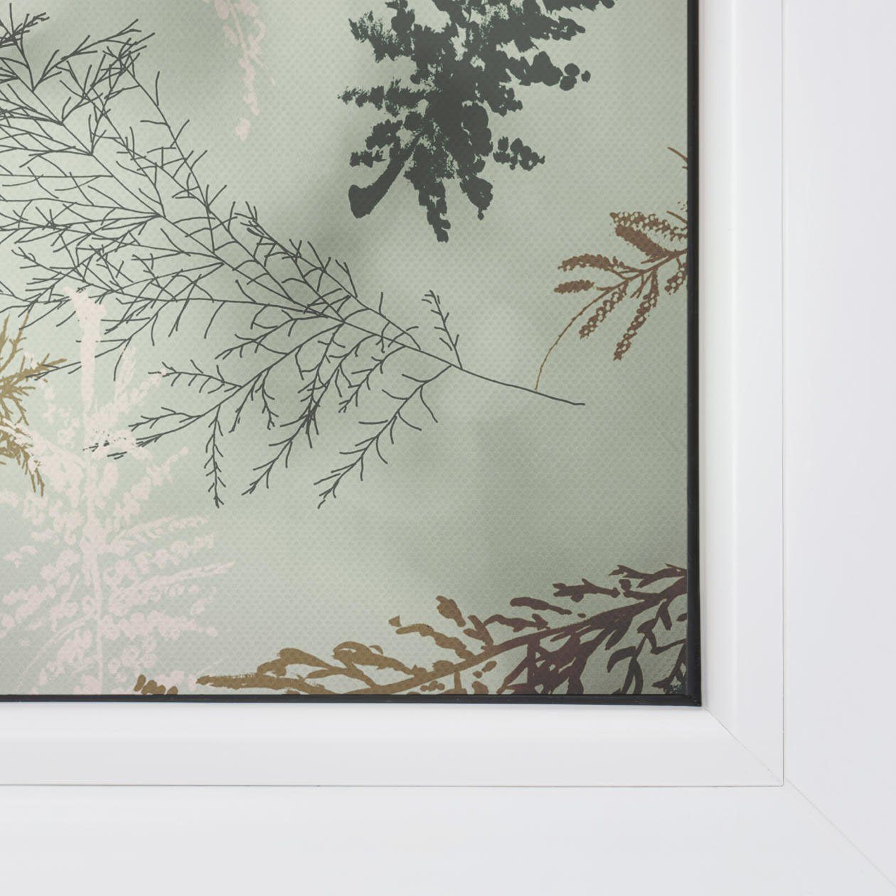 LICHTBLICK Raamfolie zelfklevend, bescherming tegen inkijk, Fir Branches - groen (1 stuk)