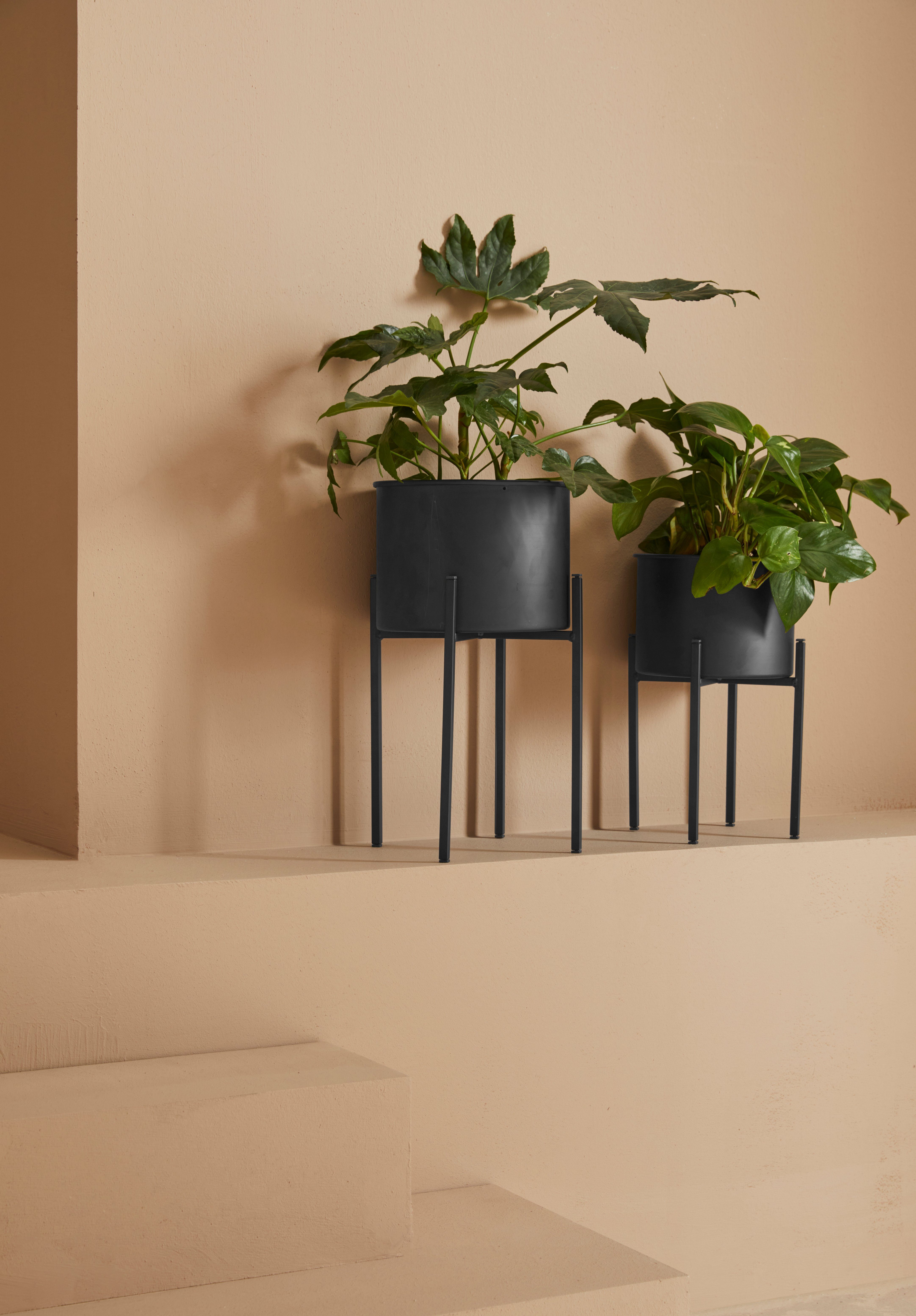 LeGer Home by Lena Gercke Sierpot DORETTE (set, 2 stuks)
