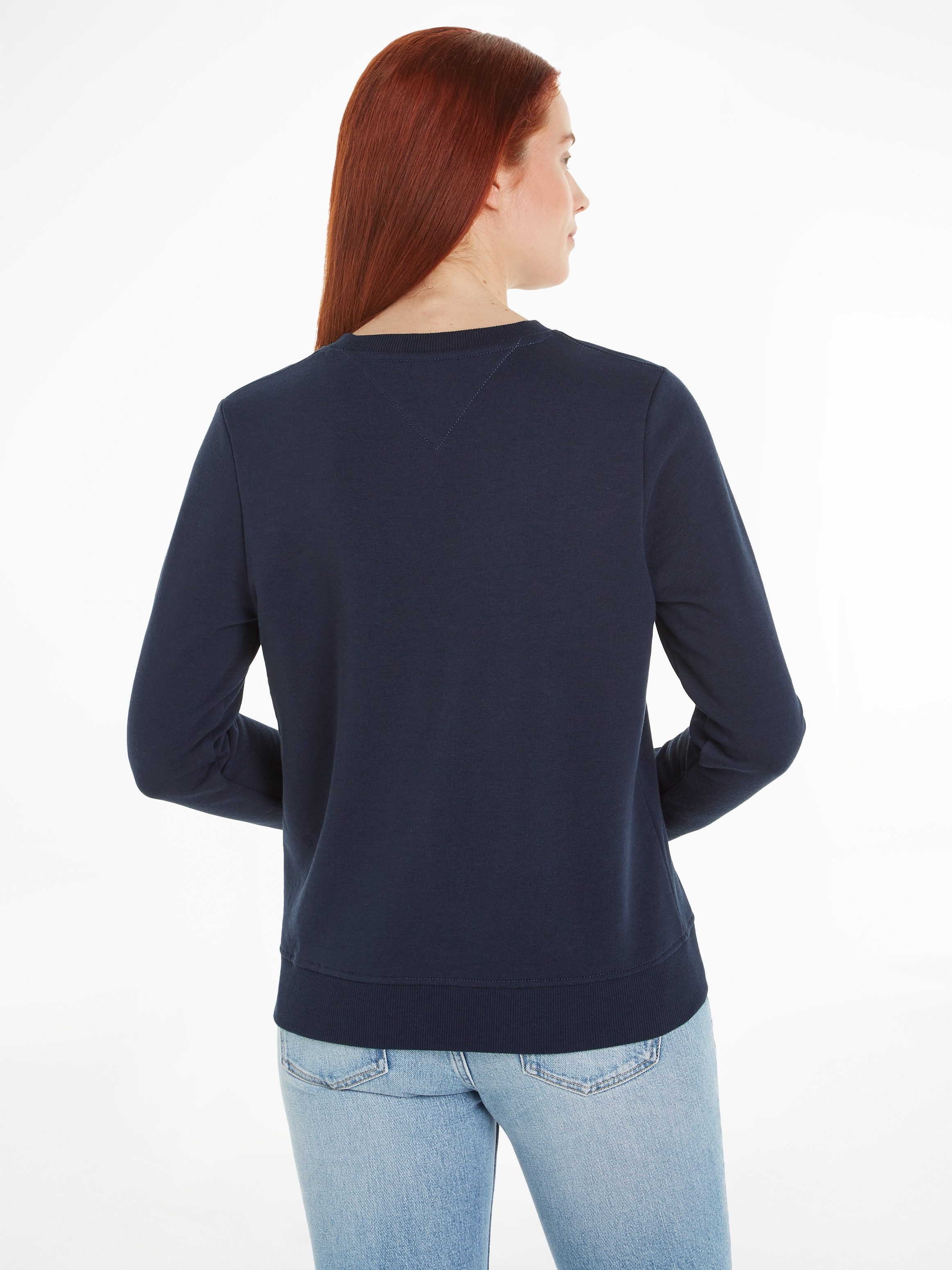 Tommy Jeans Curve Sweatshirt TJW REG LINEAR CREW EXT in grote maten met logo-opschrift