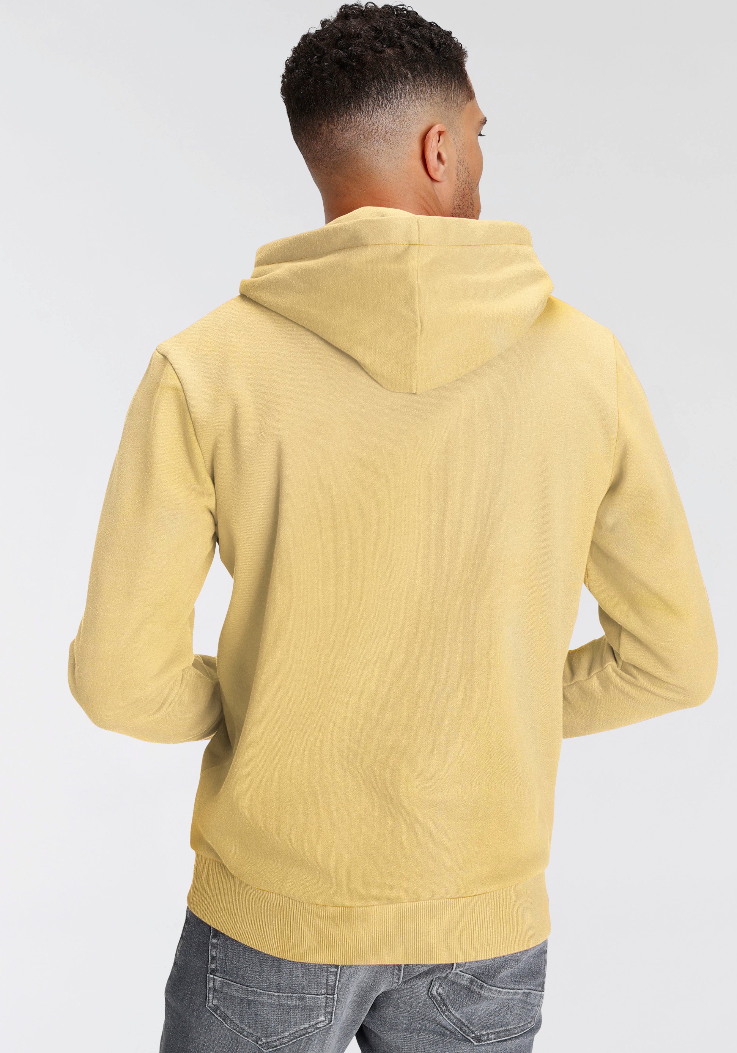 Jack & Jones Hoodie JJ JJANDY SWEAT HOOD