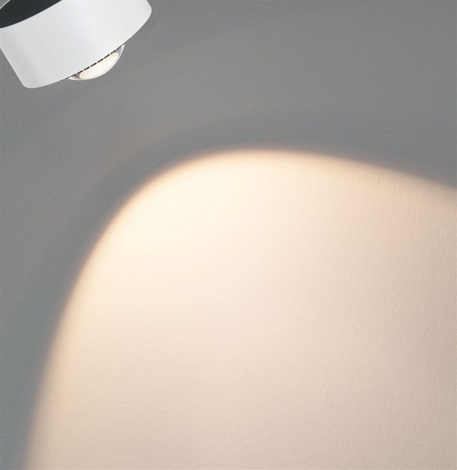 Paulmann Railsysteem-lampen URail rail spot Aldan Enkelspot 498lm 8W 2700K 230V Wit, Zwart