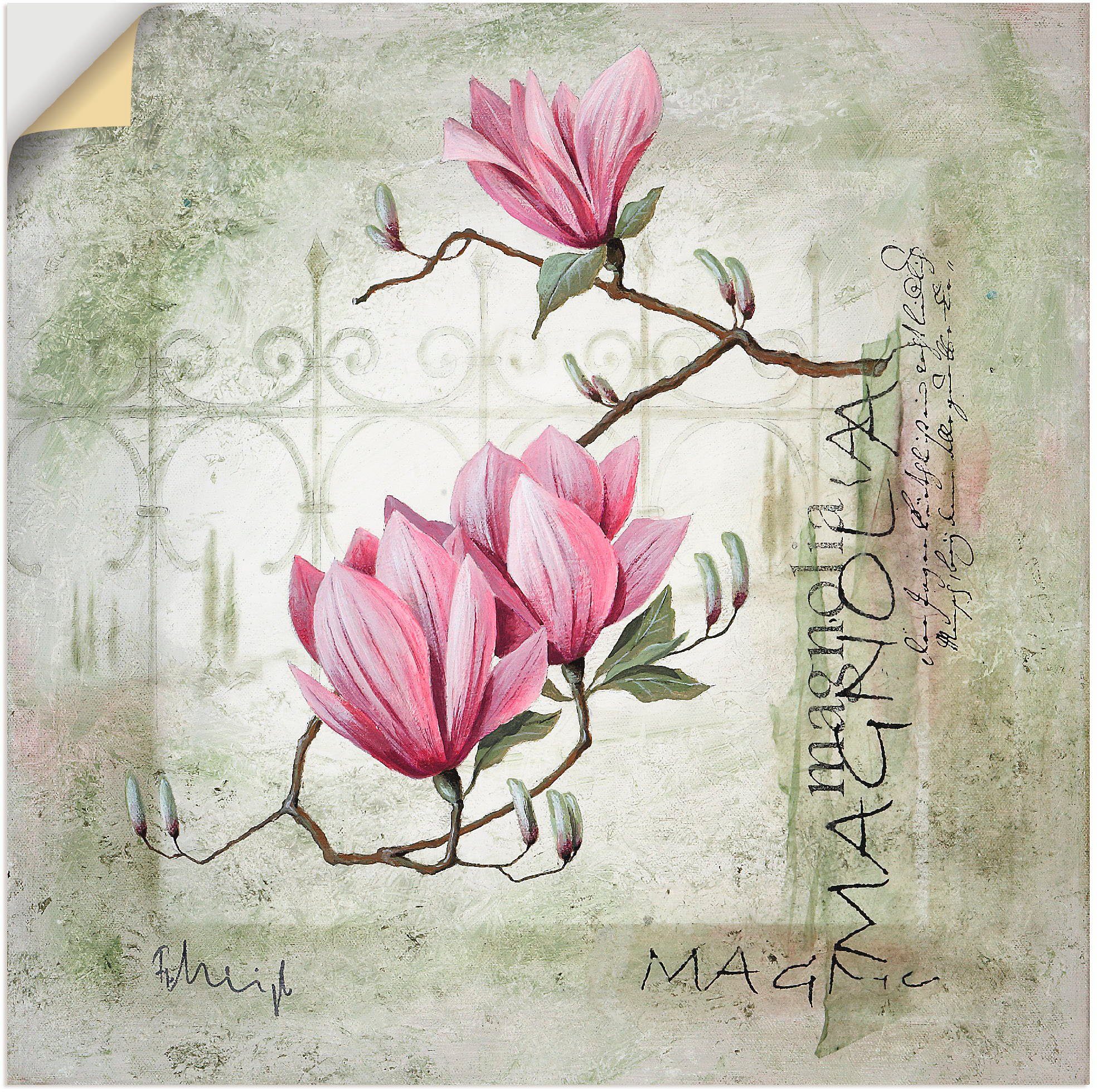 Artland Artprint Pinkkleurige magnolia in vele afmetingen & productsoorten -artprint op linnen, poster, muursticker / wandfolie ook geschikt voor de badkamer (1 stuk)
