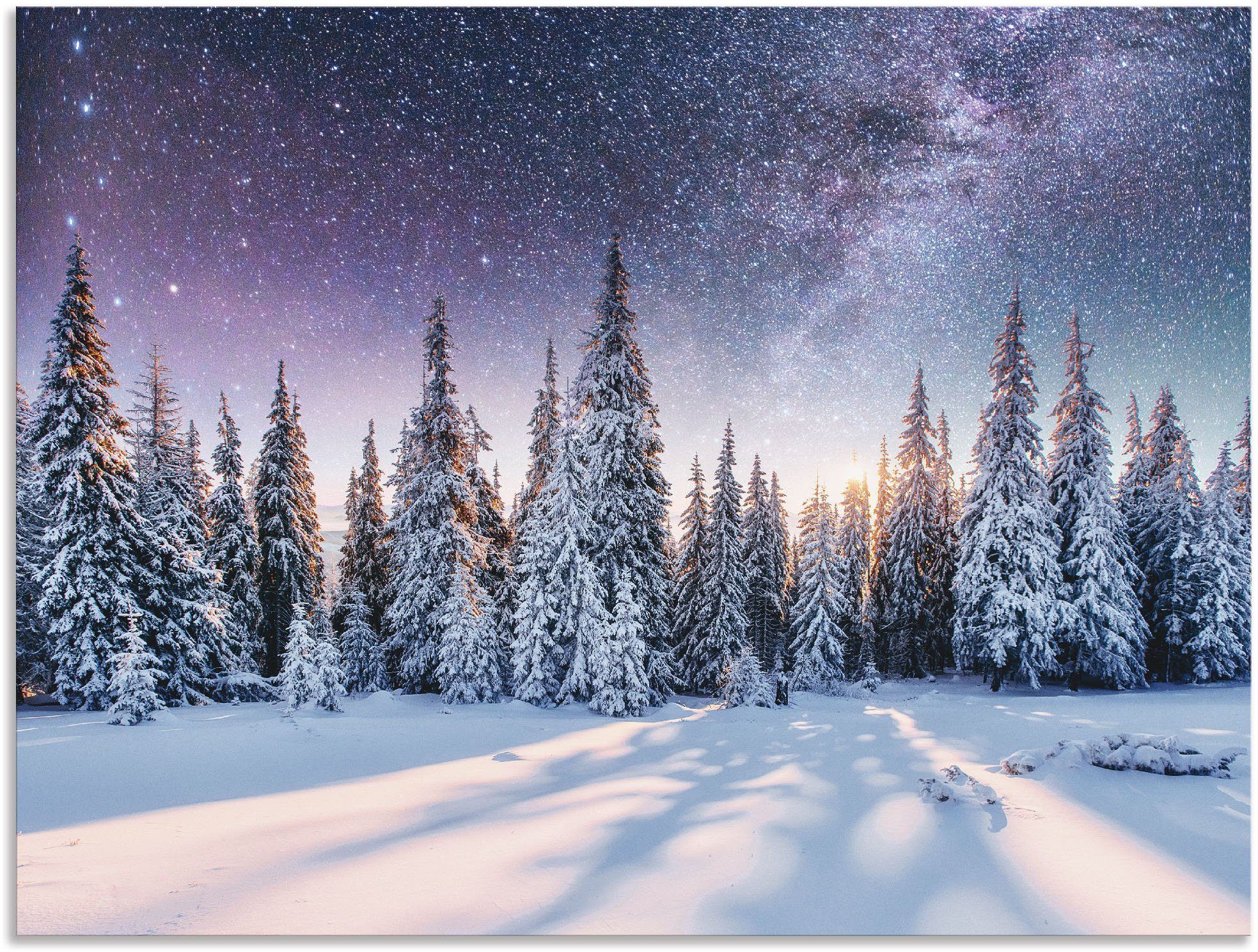 Artland Artprint Dennenbos in de sneeuw onder de sterrenhemel als artprint van aluminium, artprint voor buiten, artprint op linnen, poster in