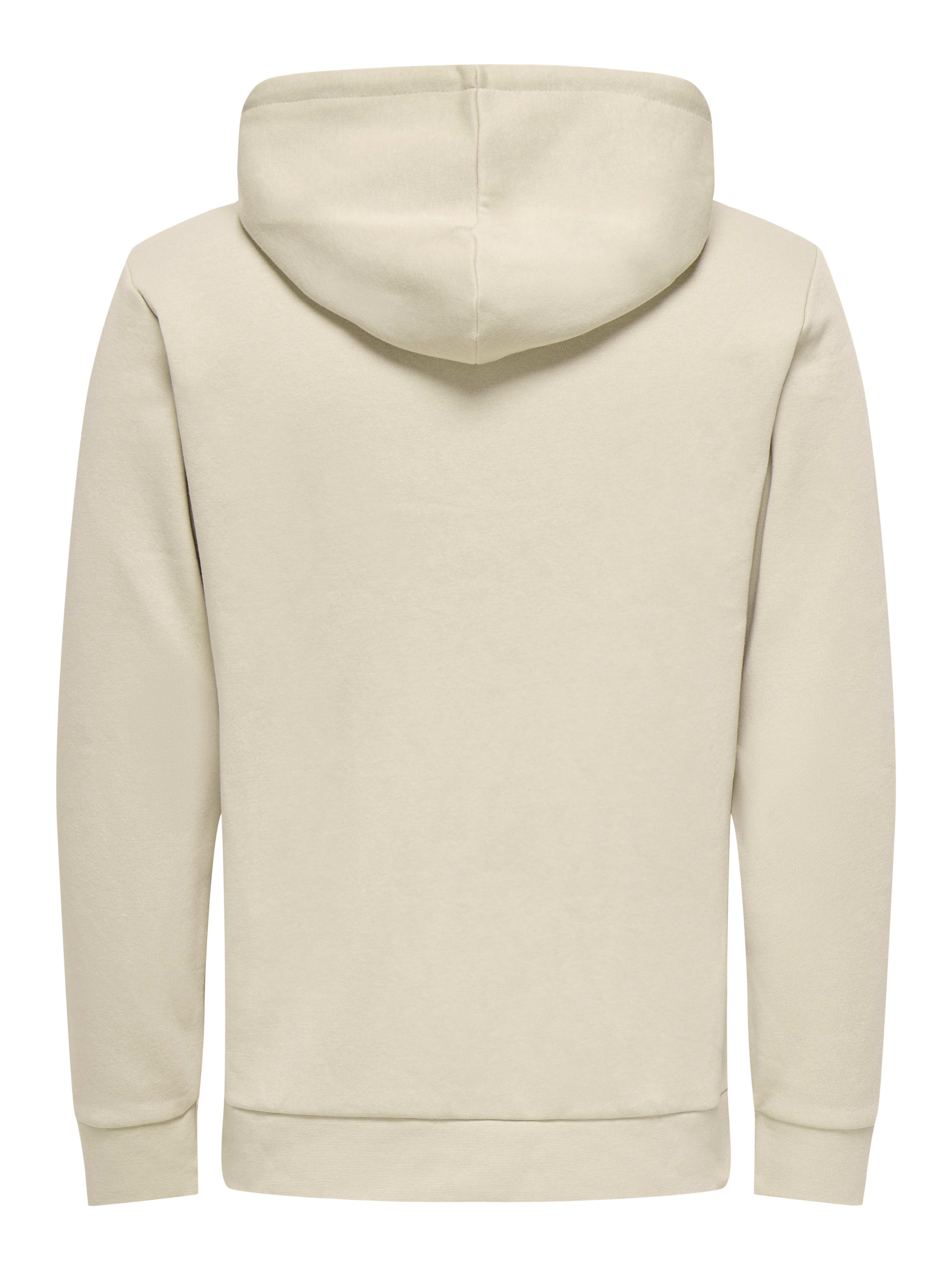 ONLY & SONS Hoodie ONSCHASE REG HOOD SWEAT OTL