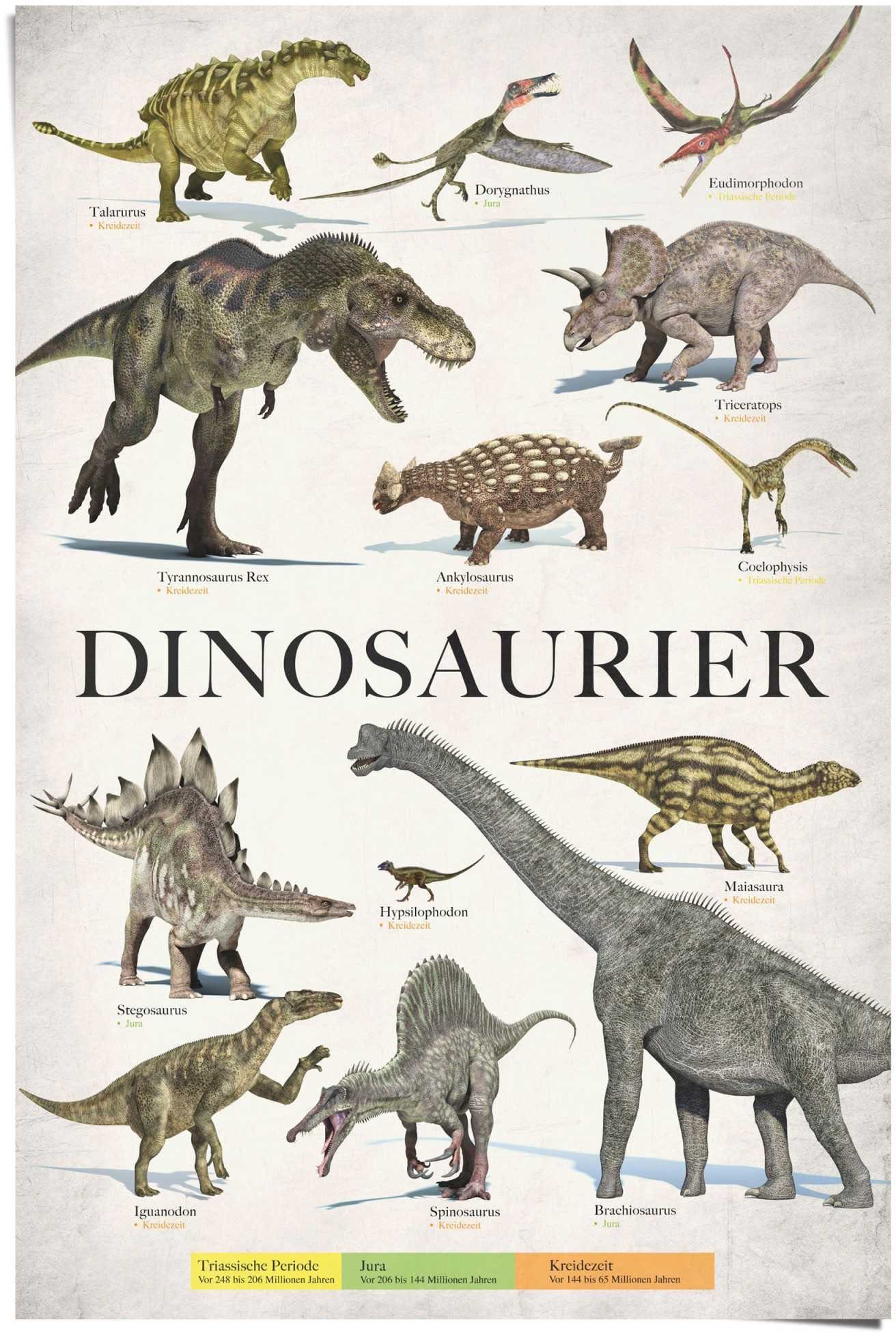 Reinders! Poster Dinosaurus deurposters groen