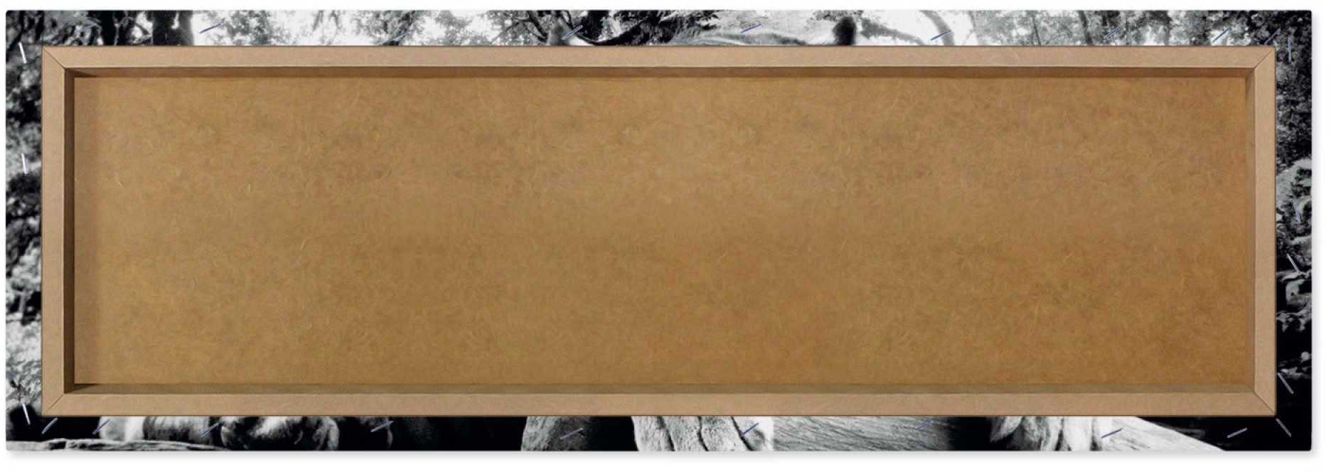 Reinders! Artprint Tijgerblik artprint tijger - roofdier - artprint woonkamer - artprint