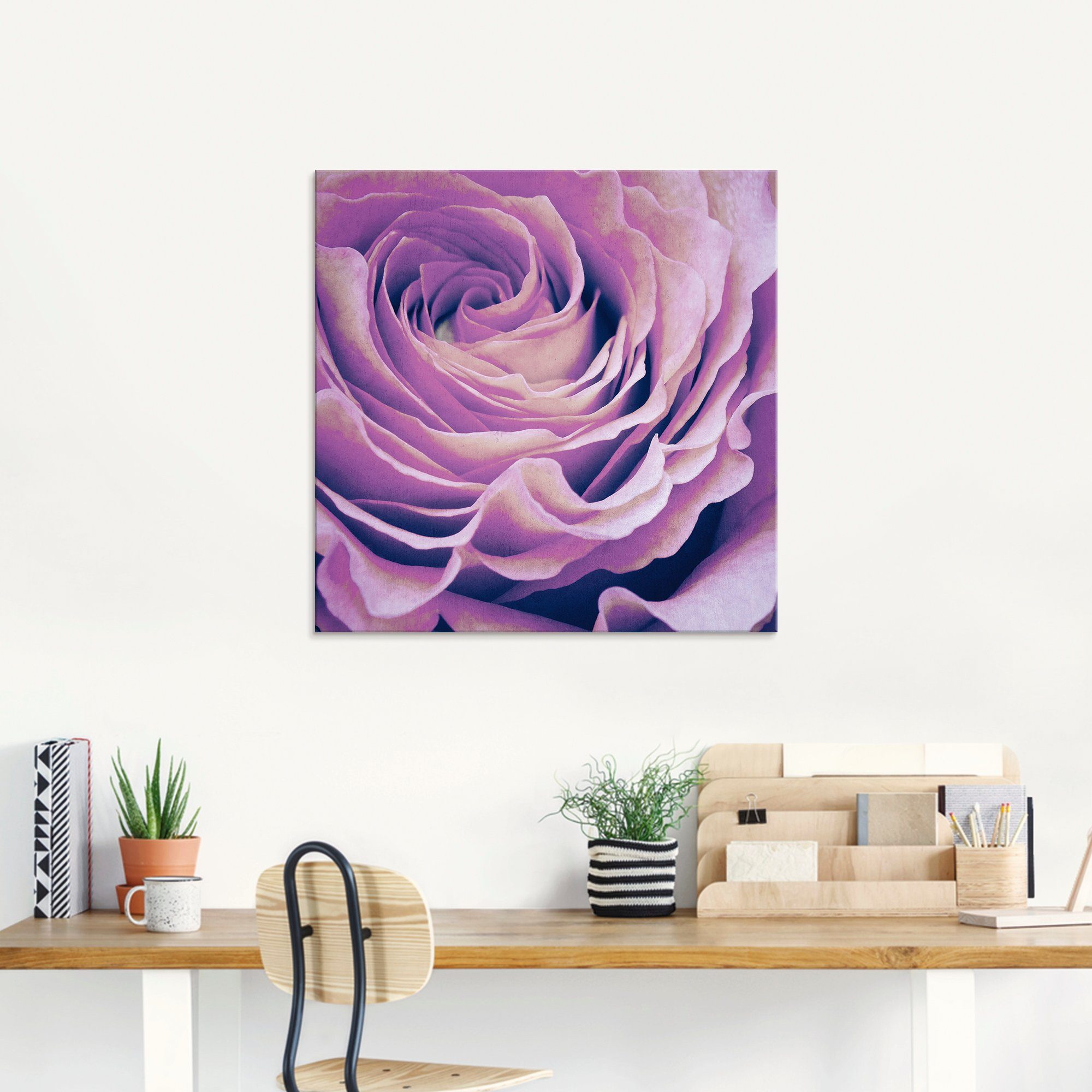 Artland Print op glas Paars Roos in verschillende maten