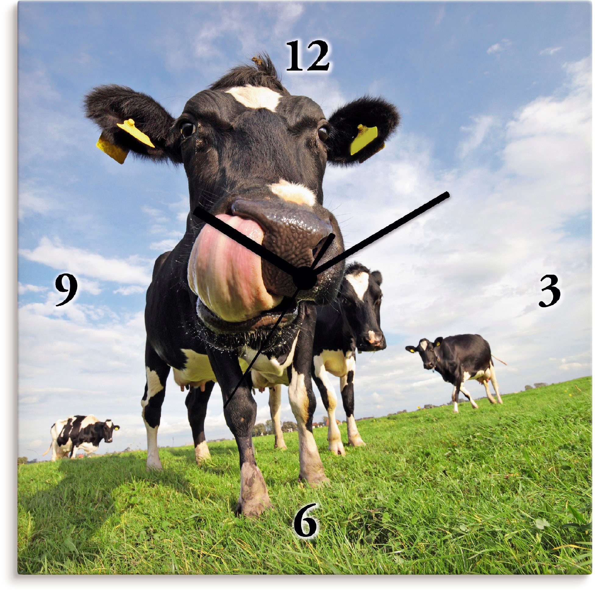 Artland Wandklok Holstein-koe met enorme tong geluidloos, zonder tikkende geluiden, niet tikkend, geruisloos - naar keuze: radiografische klok of kwartsklok, moderne klok voor woon