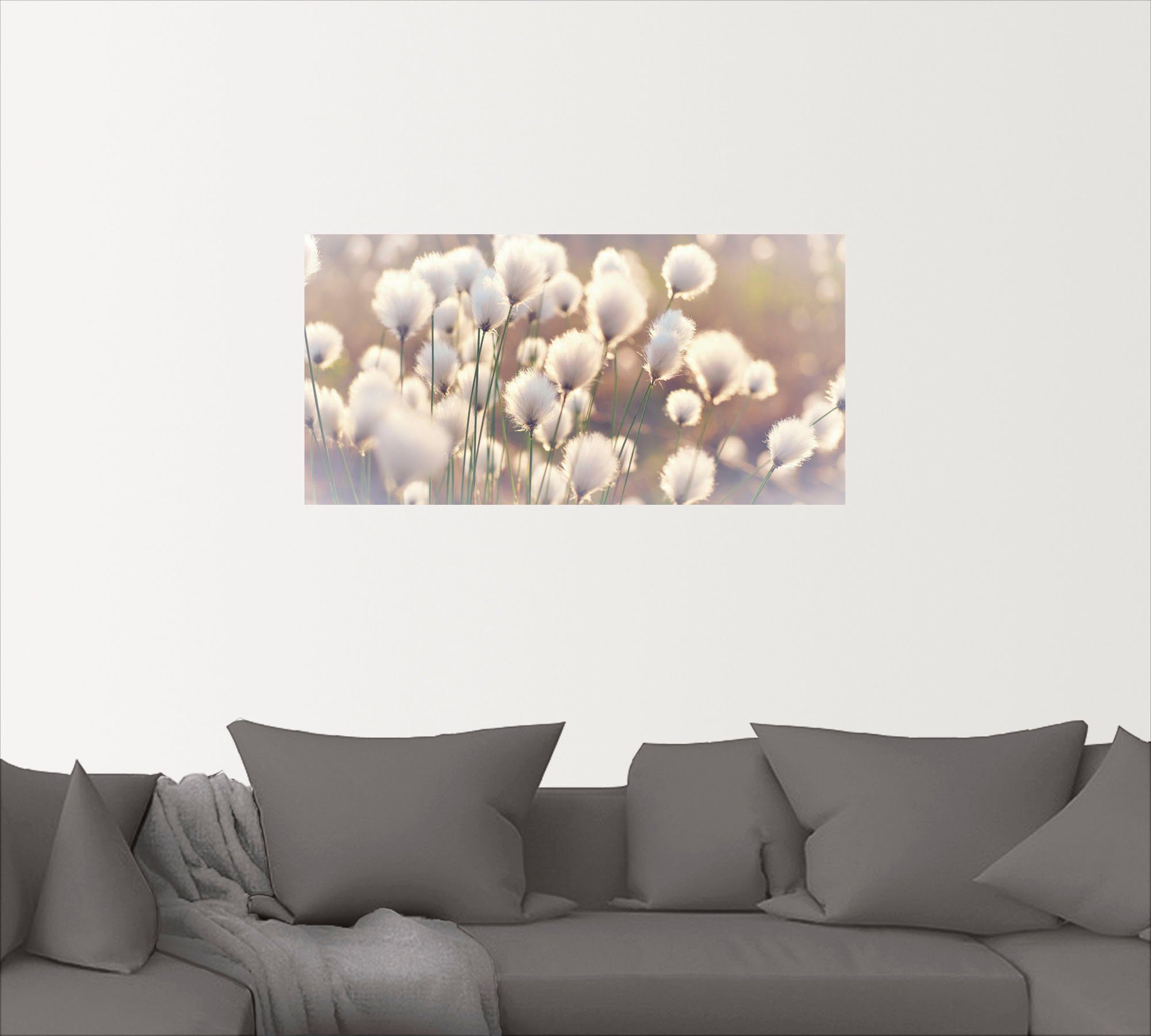 Artland Artprint Wolgrasmagie in het veen als artprint van aluminium, artprint voor buiten, artprint op linnen, poster, muursticker