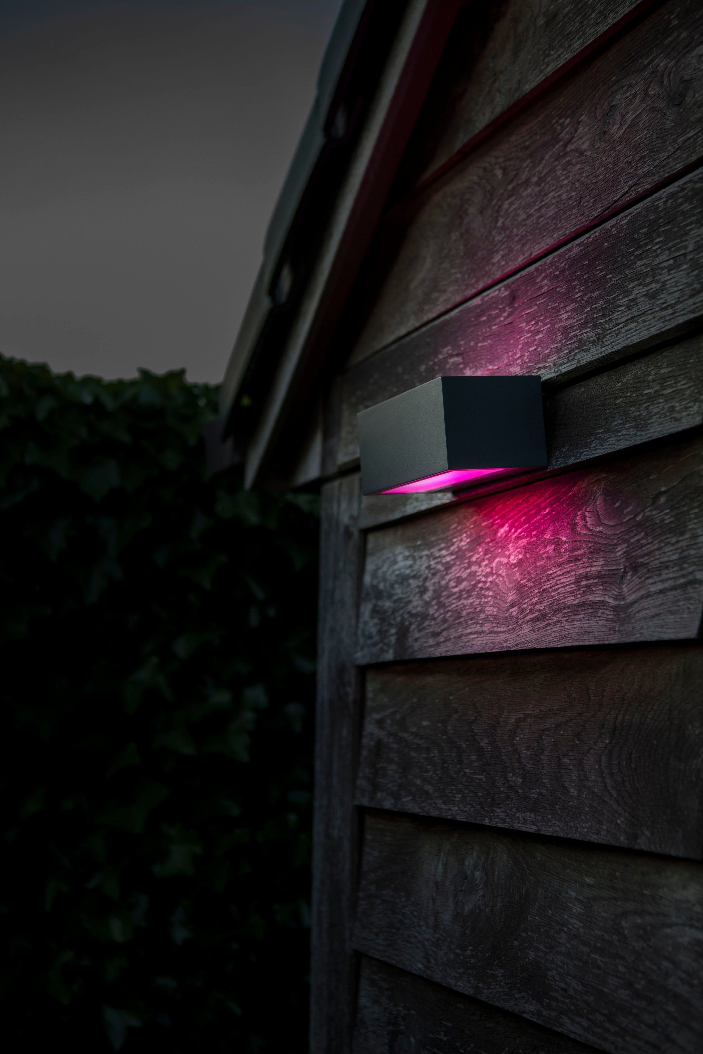 LUTEC Slimme ledlamp Gemini Smart-home (1 stuk)