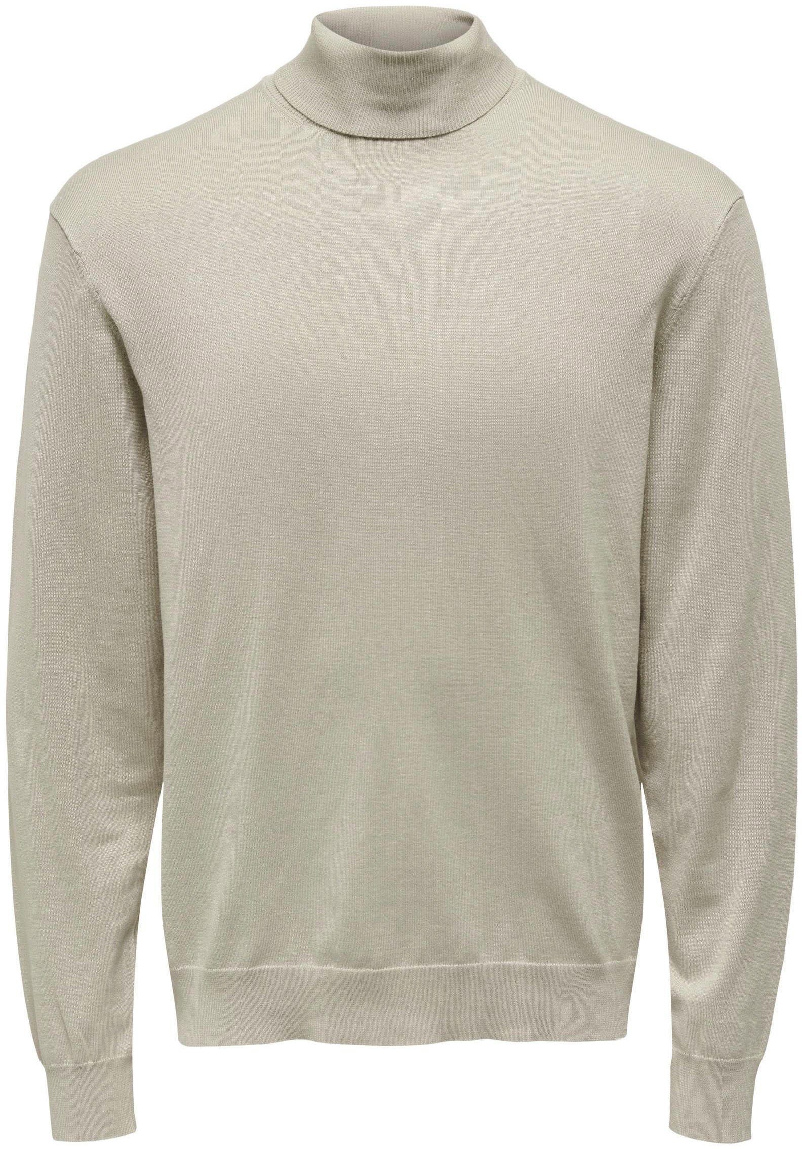 ONLY & SONS Coltrui ONSWYLER LIFE REG ROLL NECK KNIT NOOS