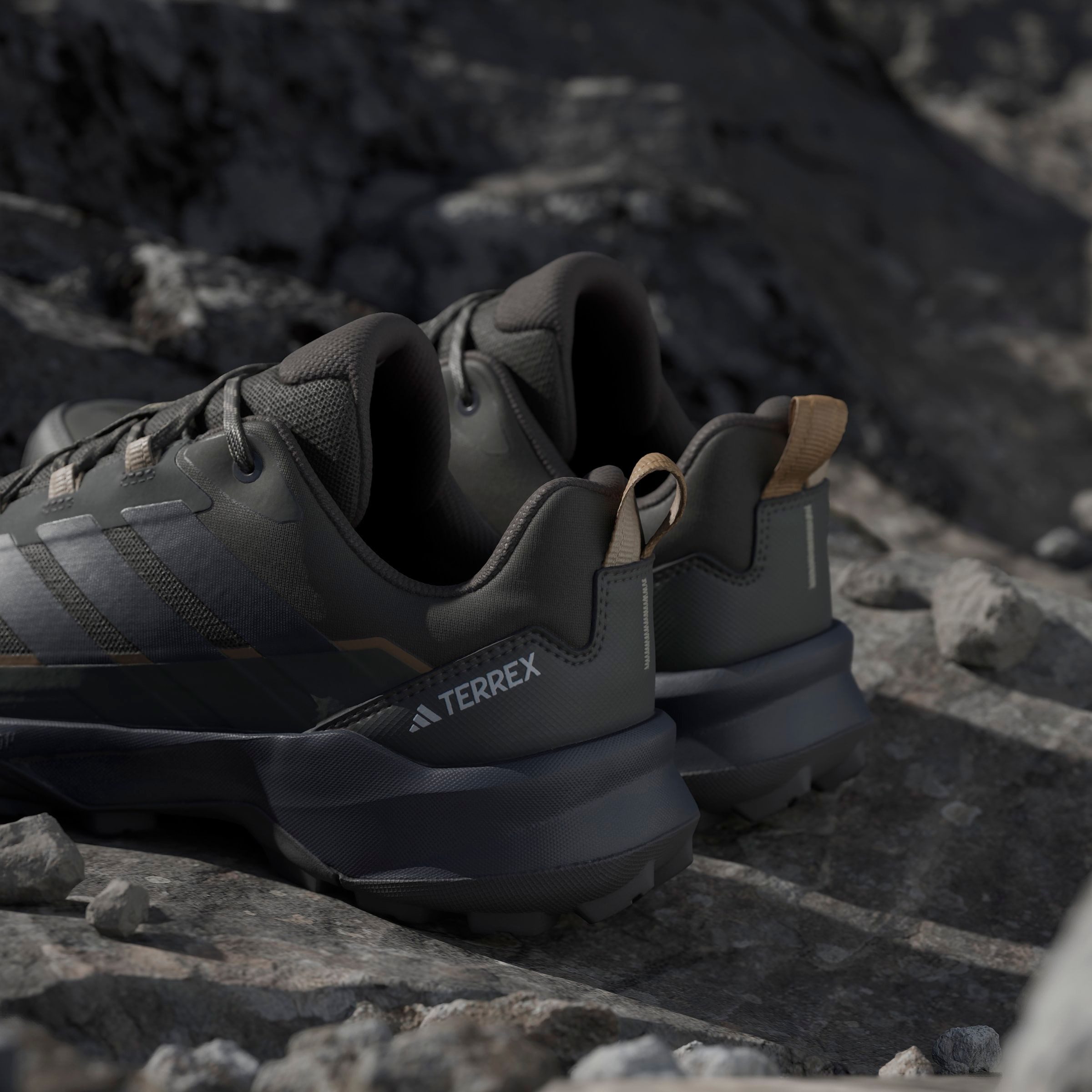 adidas TERREX Wandelschoenen TERREX SKYCHASER AX5 E