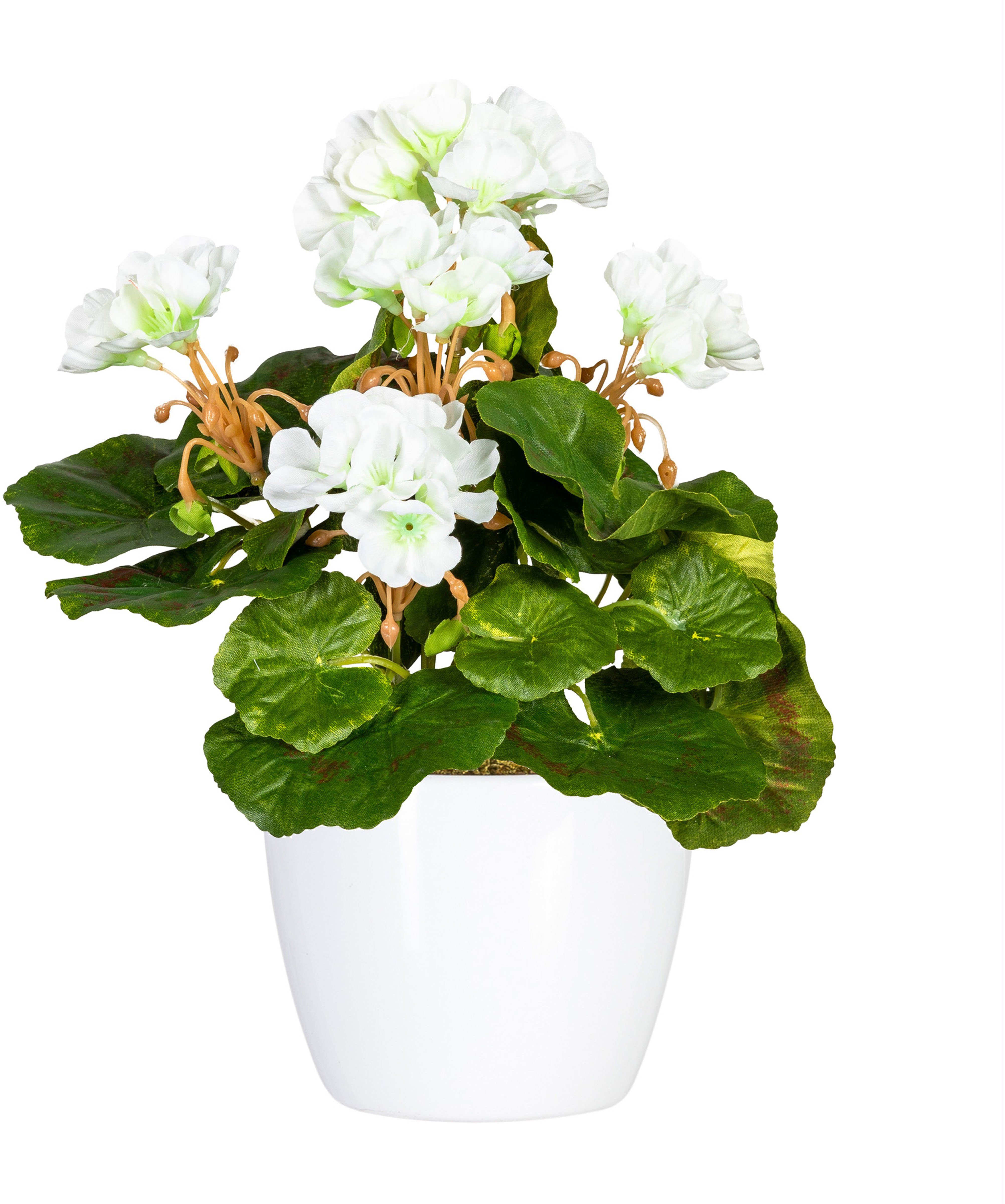 Home affaire Kunstplant Havel in een pot(2 stuks)