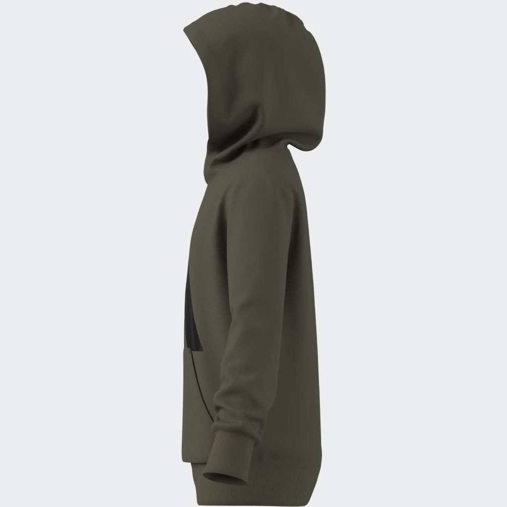 adidas Sportswear Hoodie J BL FT HD 280
