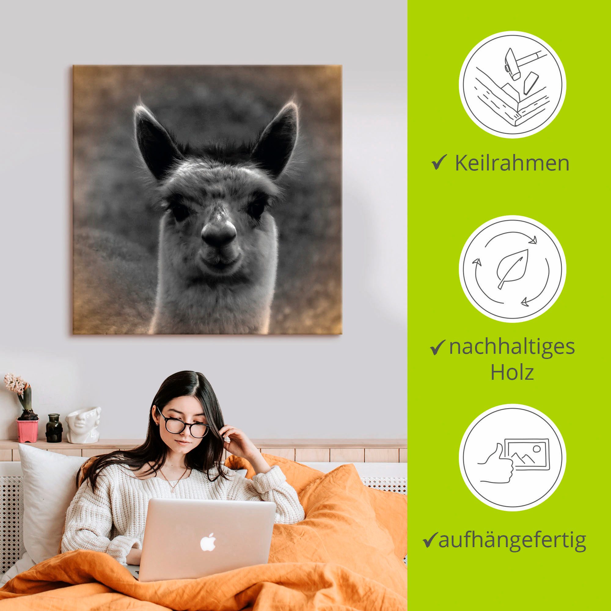 Artland Artprint Alpaca blik als artprint van aluminium, artprint voor buiten, artprint op linnen, poster in verschillende maten. maten