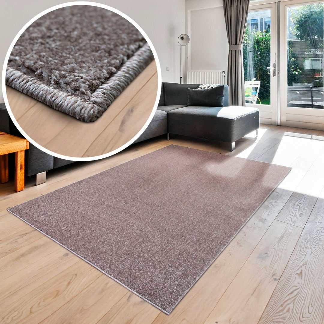 my home Vloerkleed Pieter met bijzonder zachte pool, kortpolig, design-tapijt, melange-effect