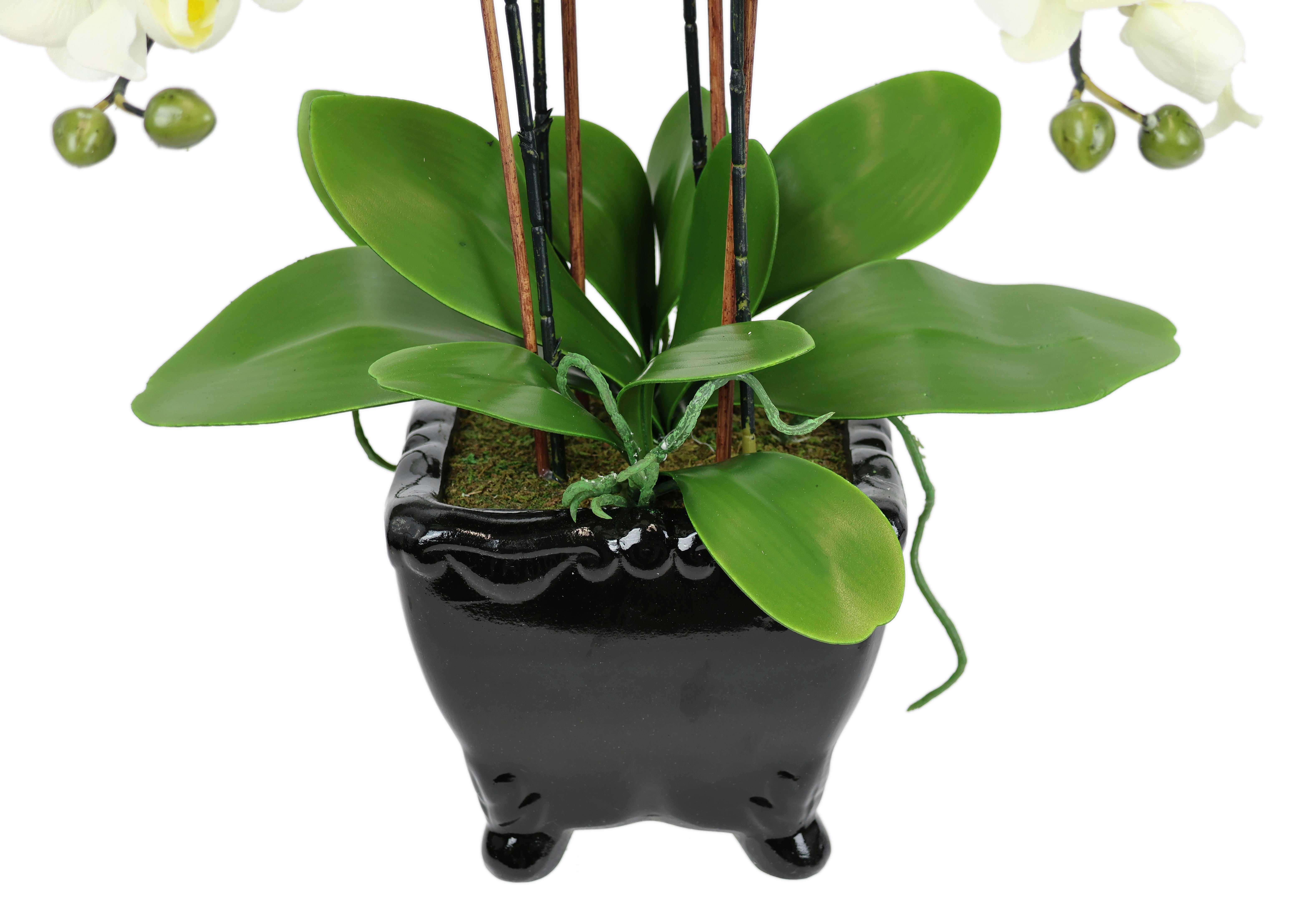 I.GE.A. Kunstbloem Kunstmatige orchidee in schaal phalaenopsis kunstbloem (1 stuk)