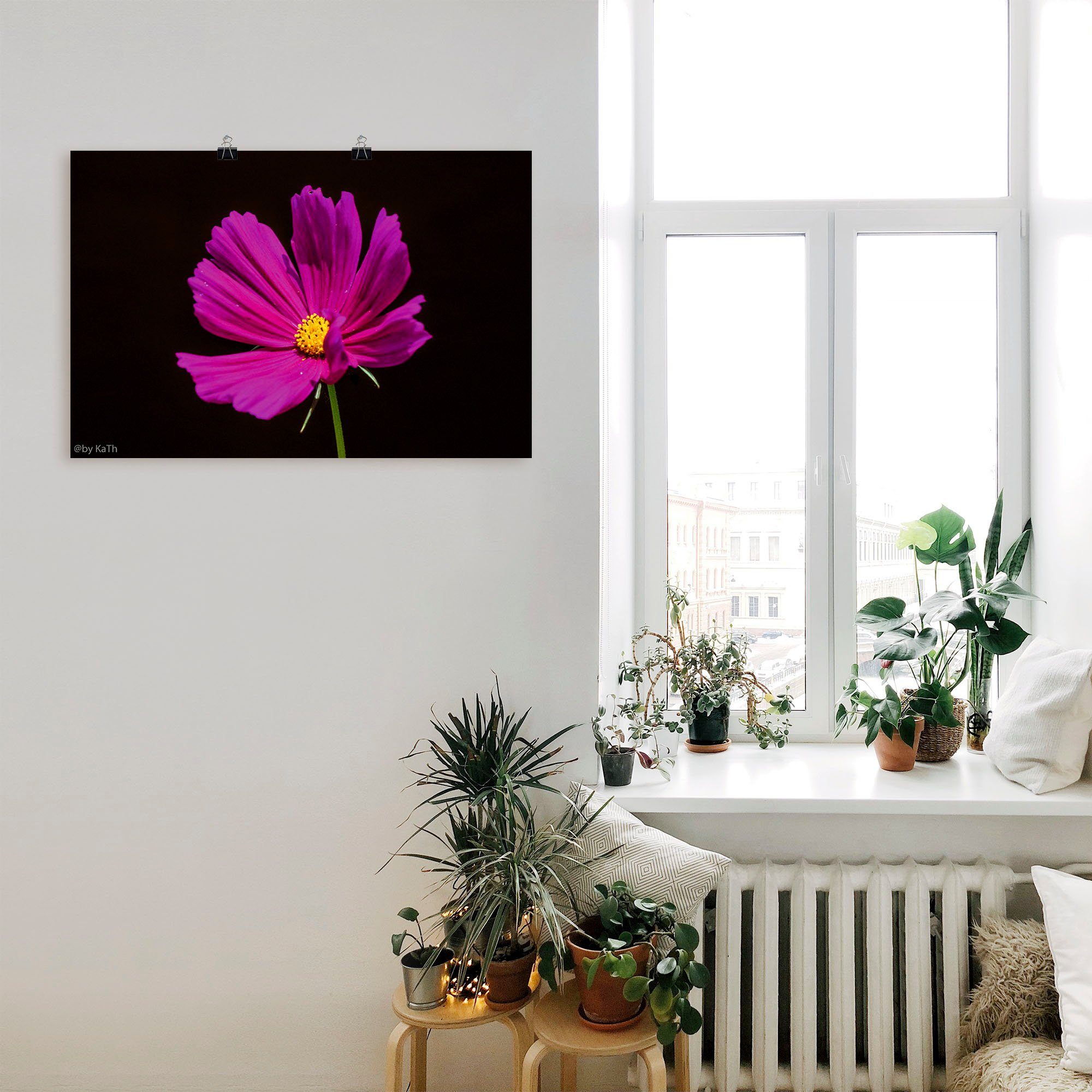 Artland Artprint Pink lady als artprint van aluminium, artprint op linnen, muursticker of poster in verschillende maten