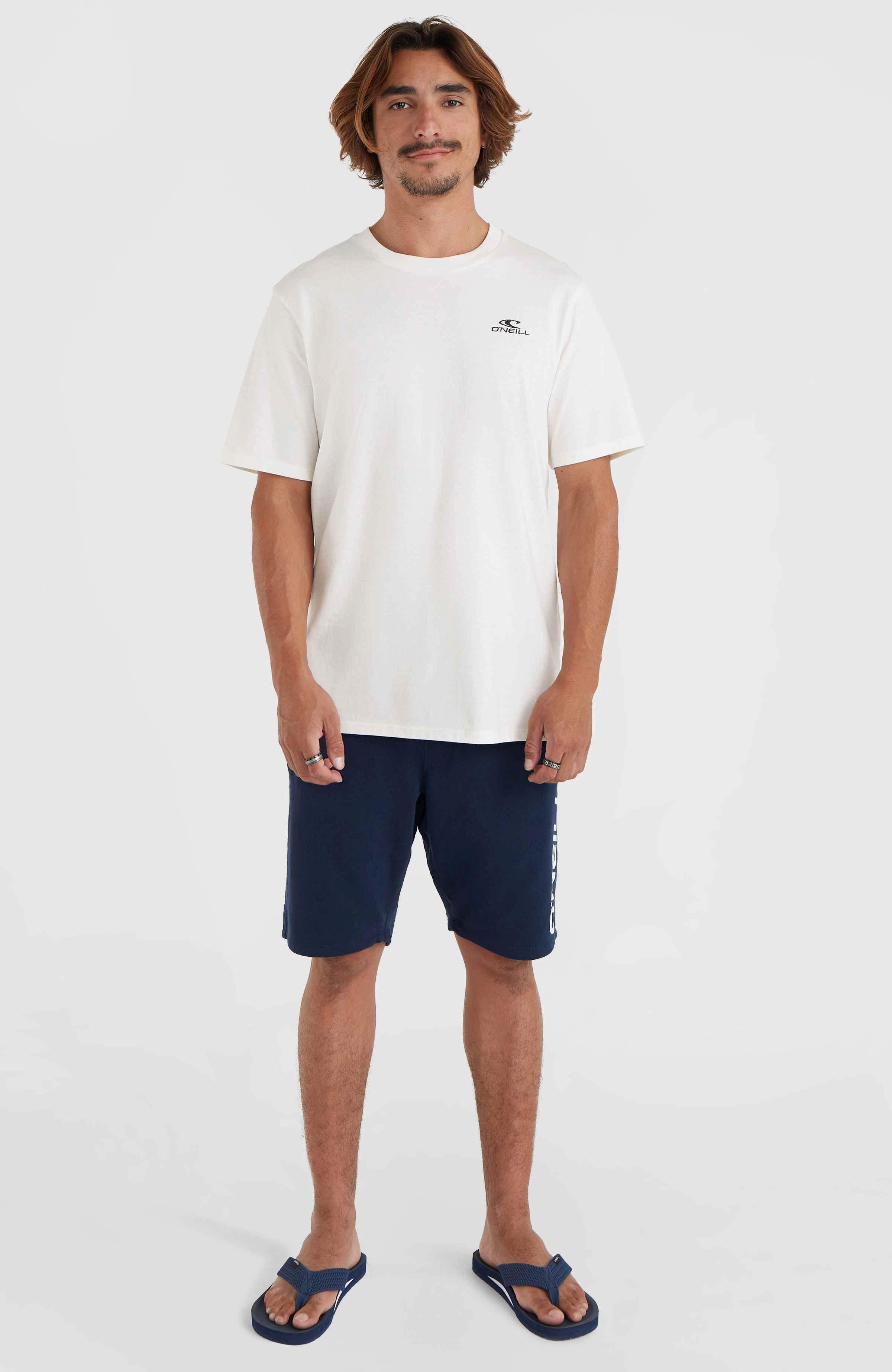 O'Neill T-shirt O'NEILL SMALL LOGO T-SHIRT