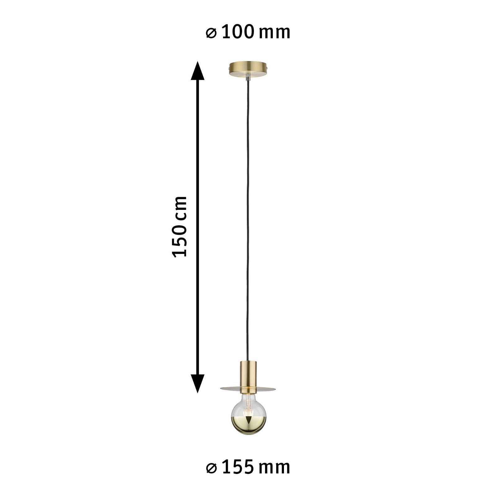Paulmann Hanglamp Neordic Stian max. 1x60W Geborsteld messing 230V Metaal (1 stuk)