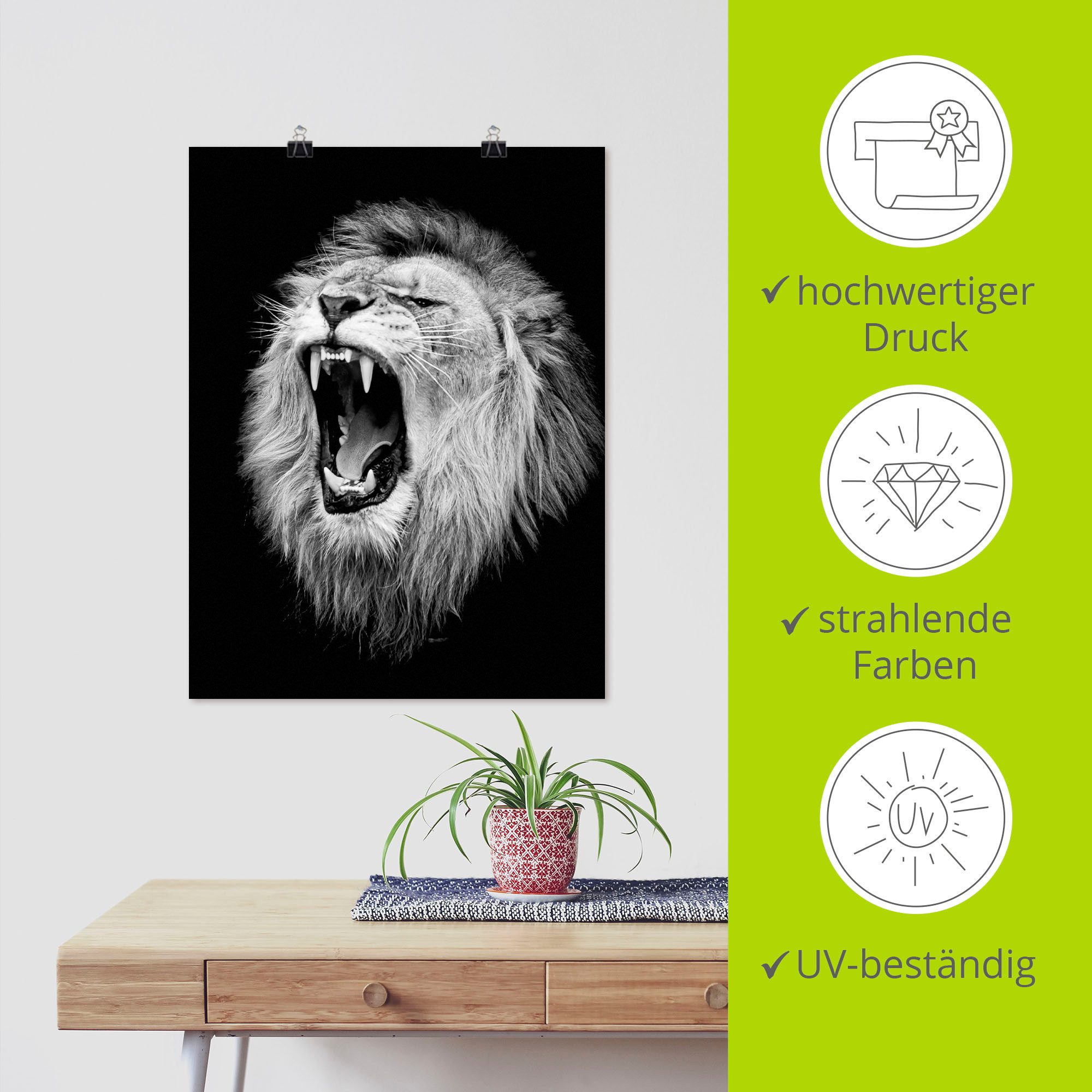 Artland Artprint De leeuw als artprint van aluminium, artprint voor buiten, artprint op linnen, poster, muursticker