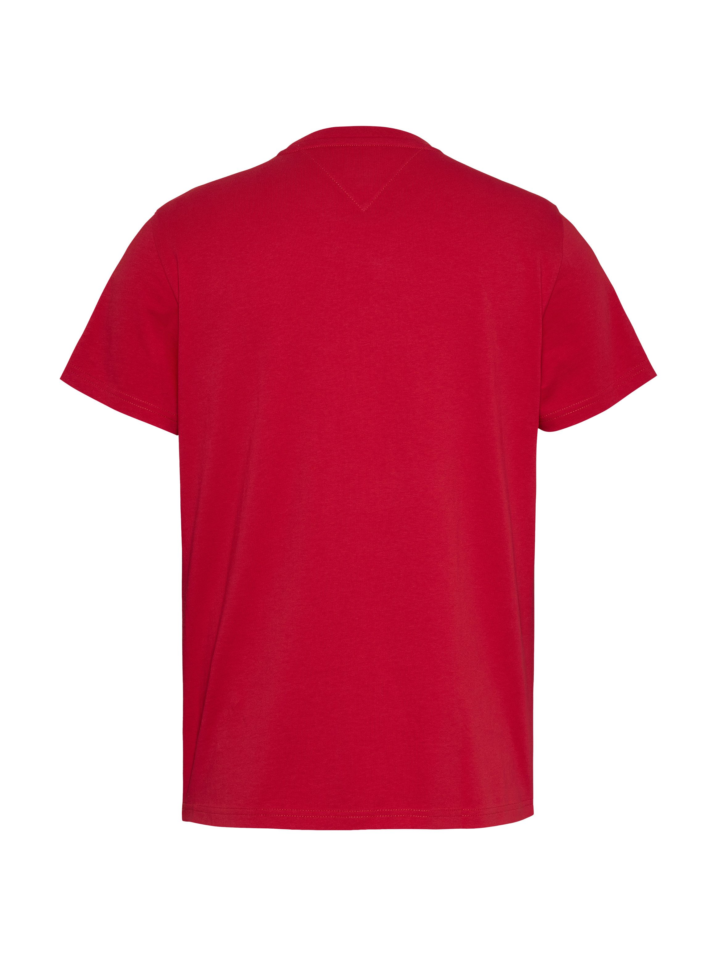 Tommy Jeans Plus Shirt met ronde hals TJM SLIM ENTRY GRAPHIC TEE EXT in grote maten, met logo-borduursel op de mouw