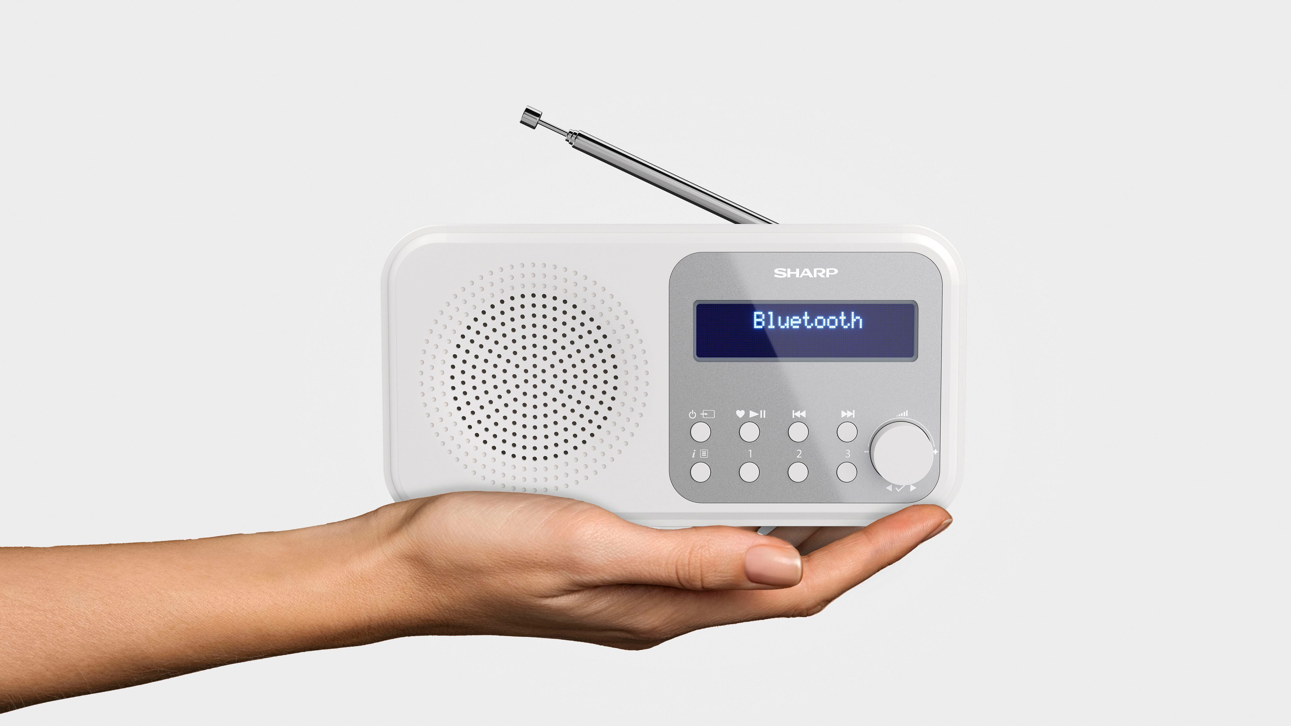 Sharp Radio DR-P420