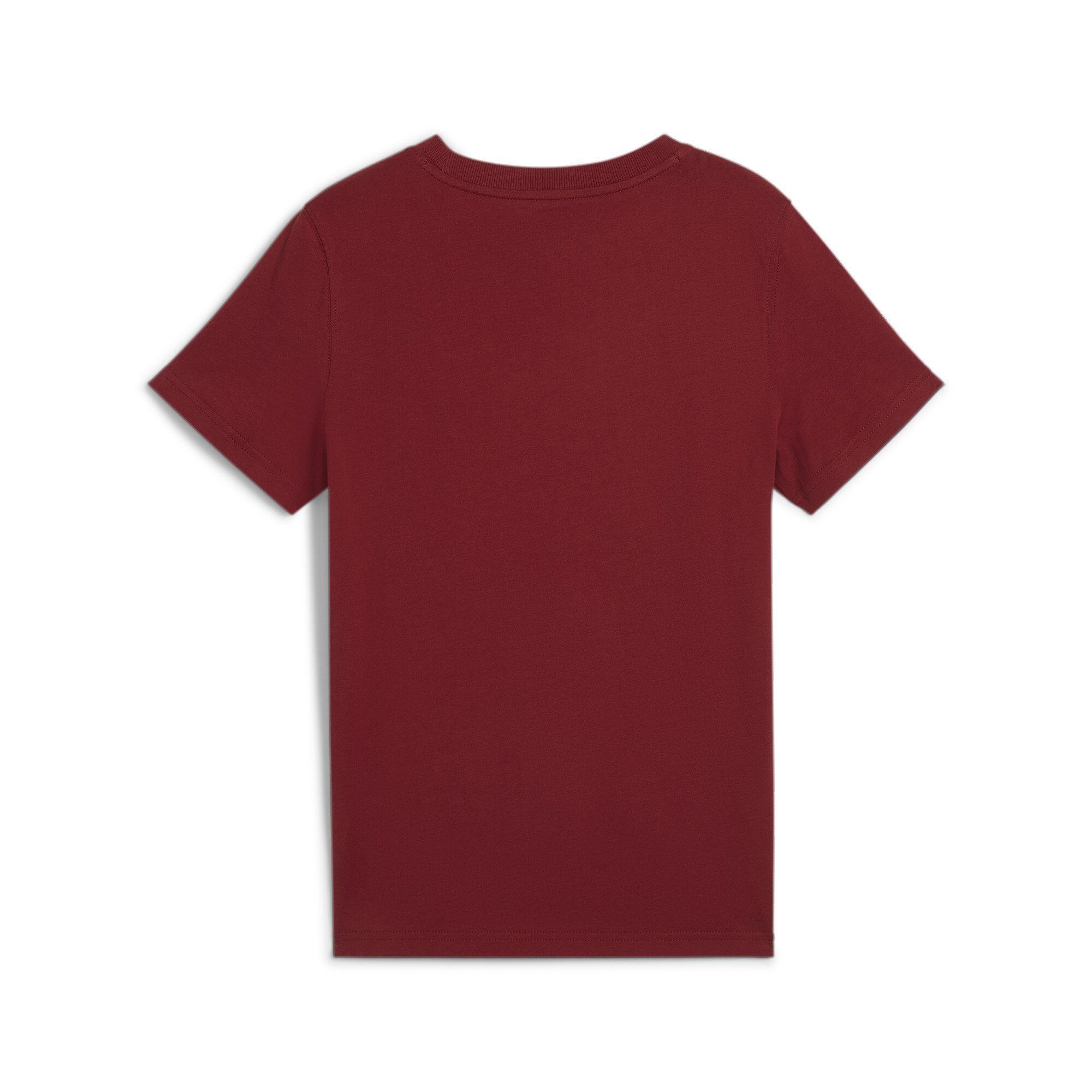 PUMA T-shirt SQUAD SMALL GRAPHIC TEE B