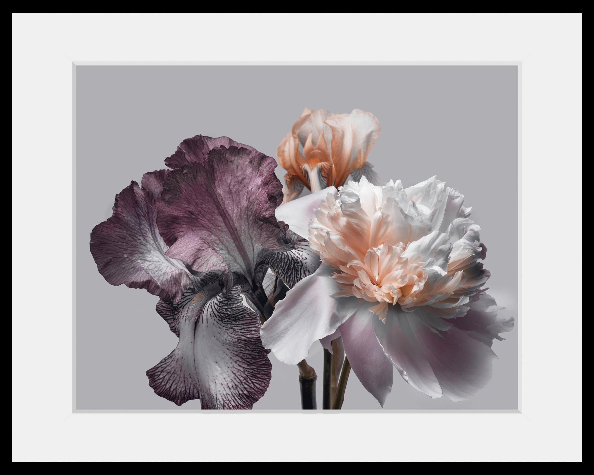 queence Wanddecoratie Vesna HD premium posterdruk incl. houten lijst (1 stuk)