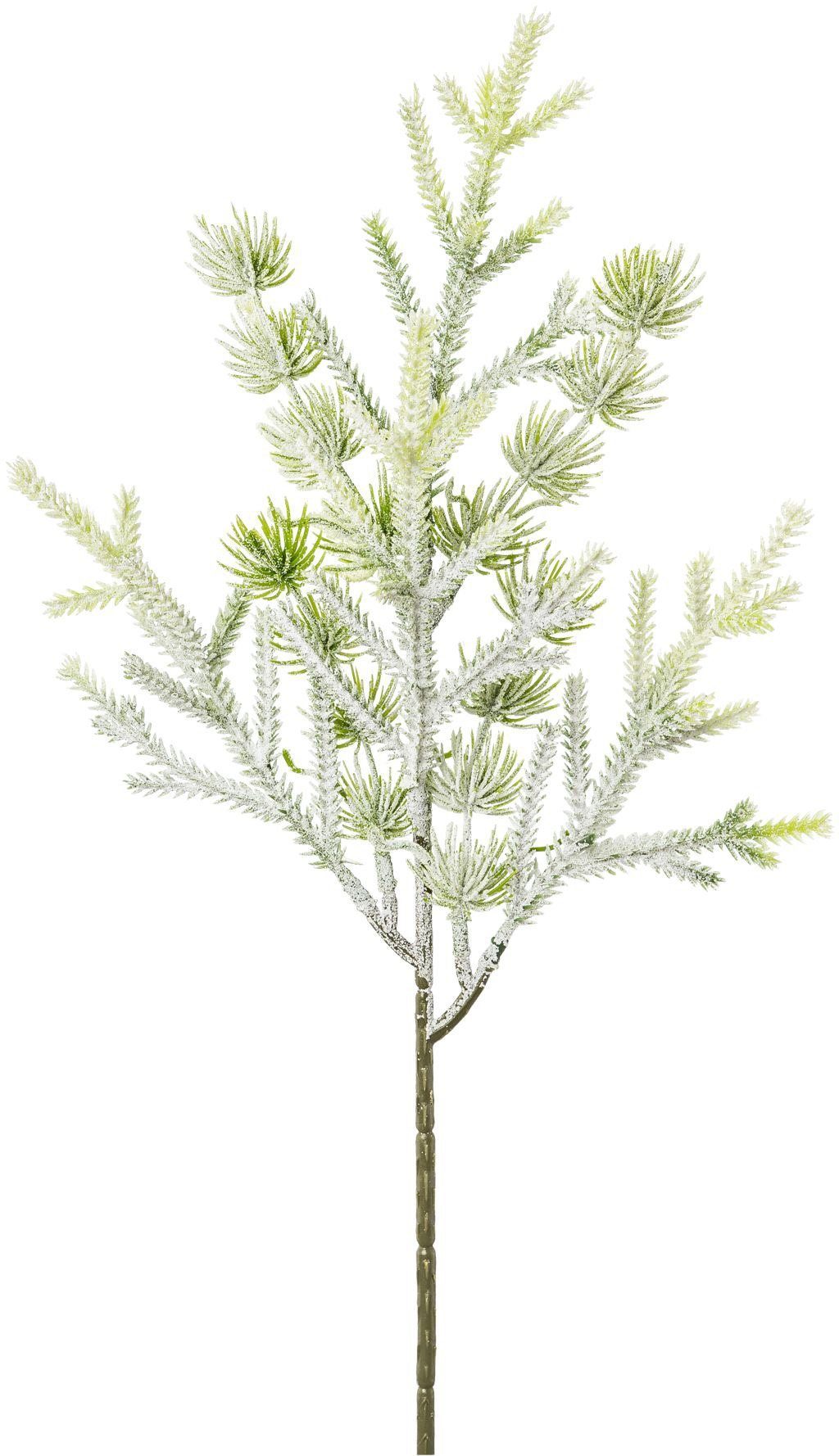 Creativ green Winterse kunstplant Kerst versiering Mini-ficht tak in bevroren look, 6-delige set (6 stuks)