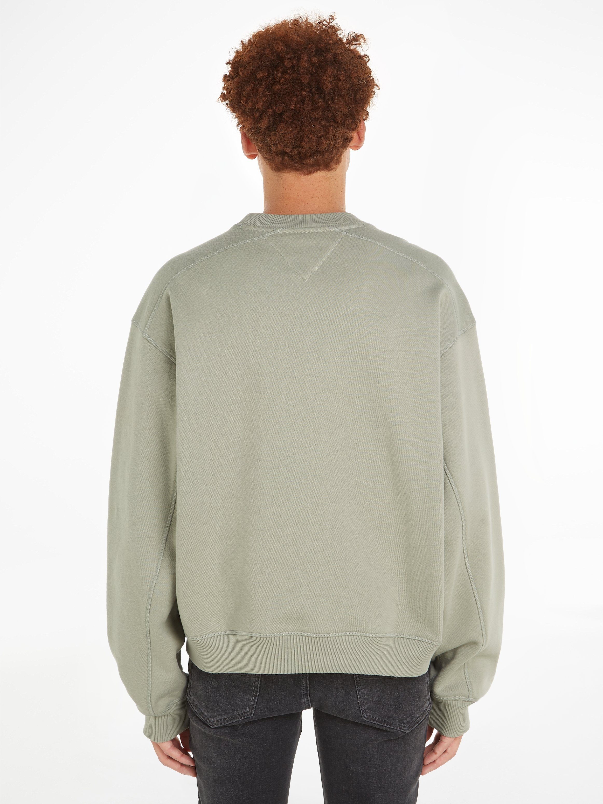 Tommy Jeans Plus Sweatshirt TJM BOXY NEW CLASSICS CREW EXT
