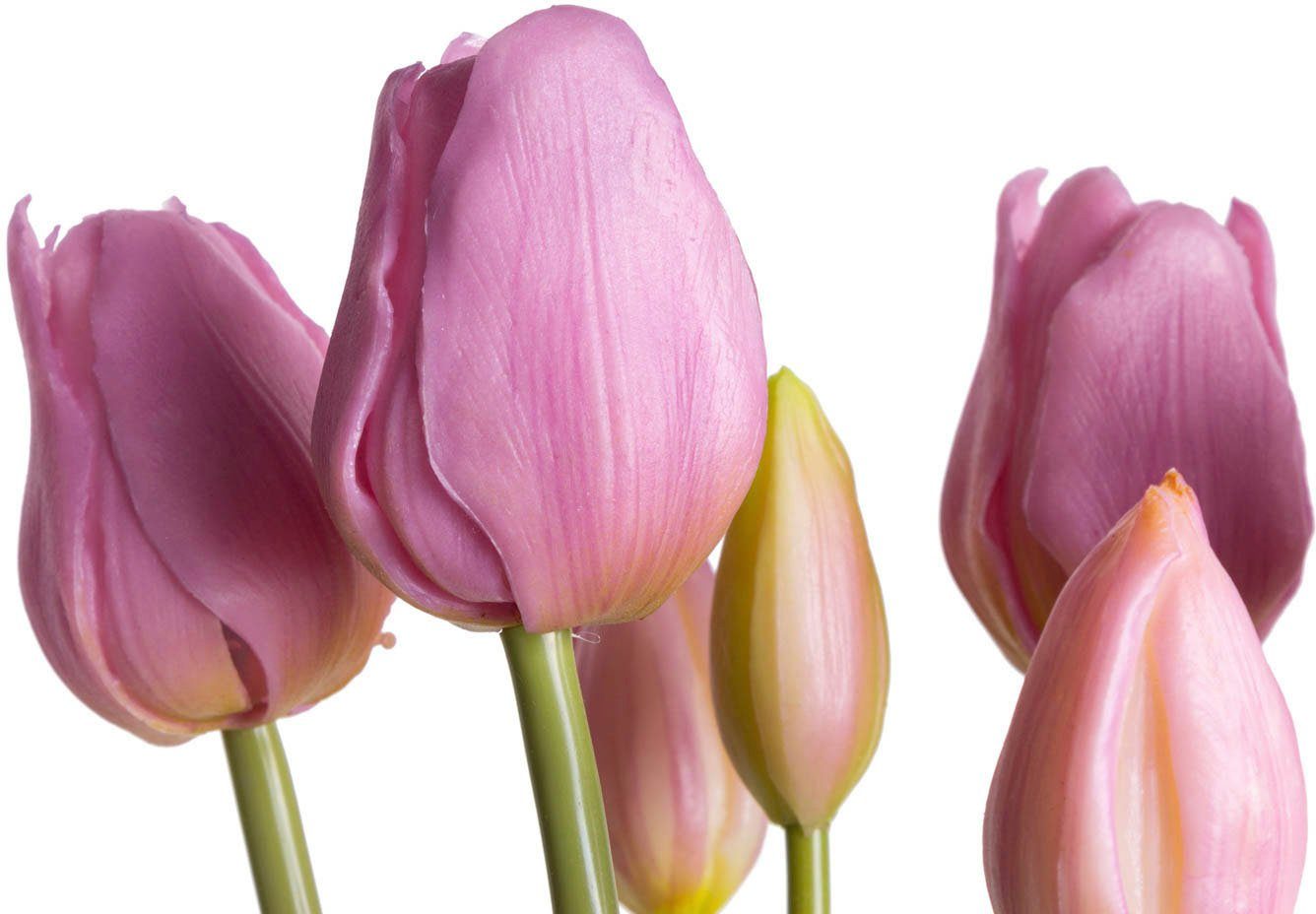 Botanic-Haus Kunstbloem Tulpenbundel (1 stuk)