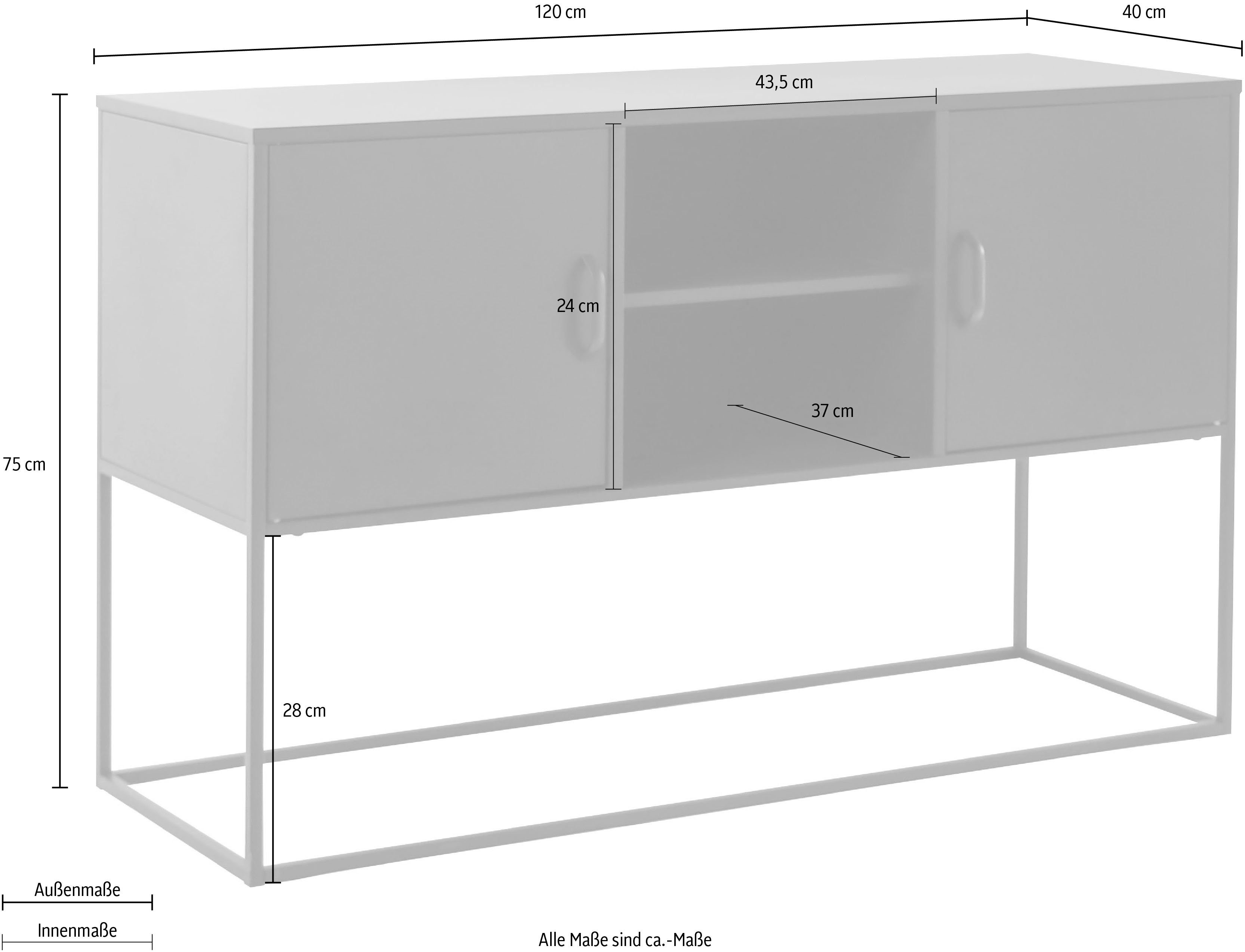 Homexperts Kast Rich designachtig metalen meubel, ideaal als kast of tv-meubel