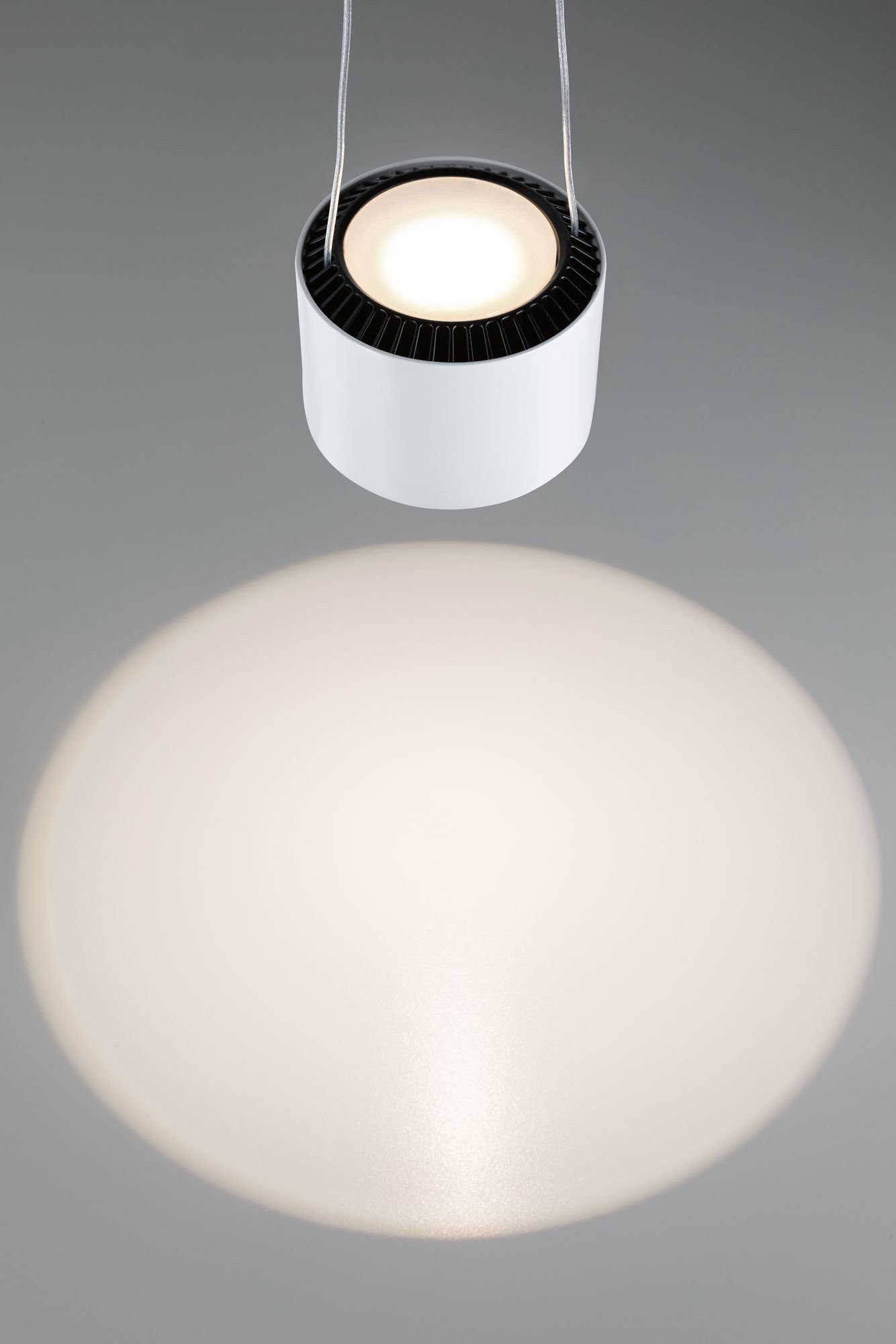 Paulmann Railsysteem-lampen URail Hanglamp Aldan 860lm/460lm 8,5W 2700K dimbaar 230V Wit (1-delig)