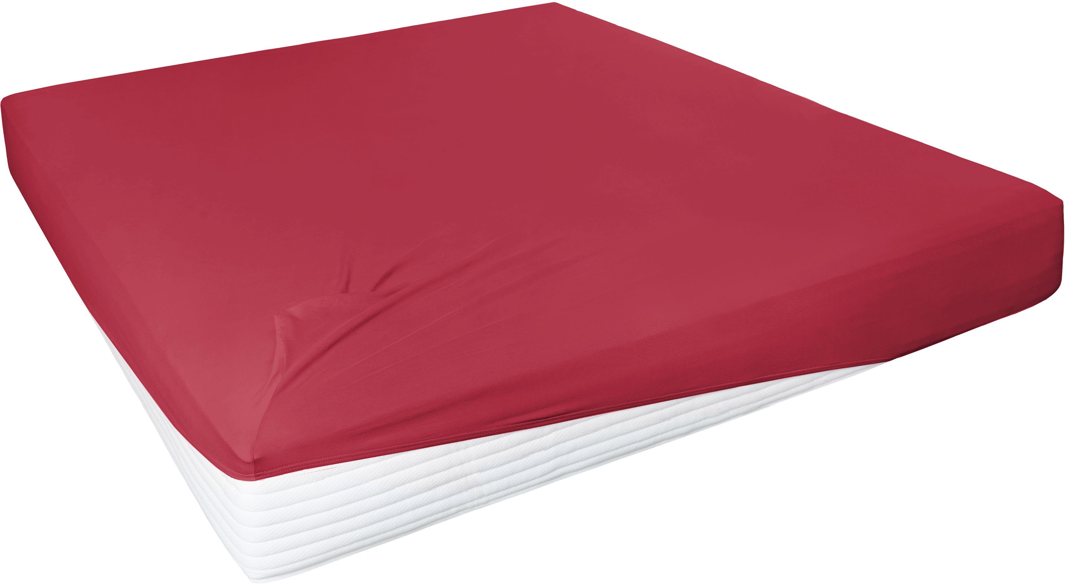 Primera Hoeslaken Elastaan-fijnjersey PREMIUM, van 95% gekamd katoen en 5% elastaan, tot 28 cm hoogte (1 stuk) hoeslakens maat 180-200 cm x 200-220