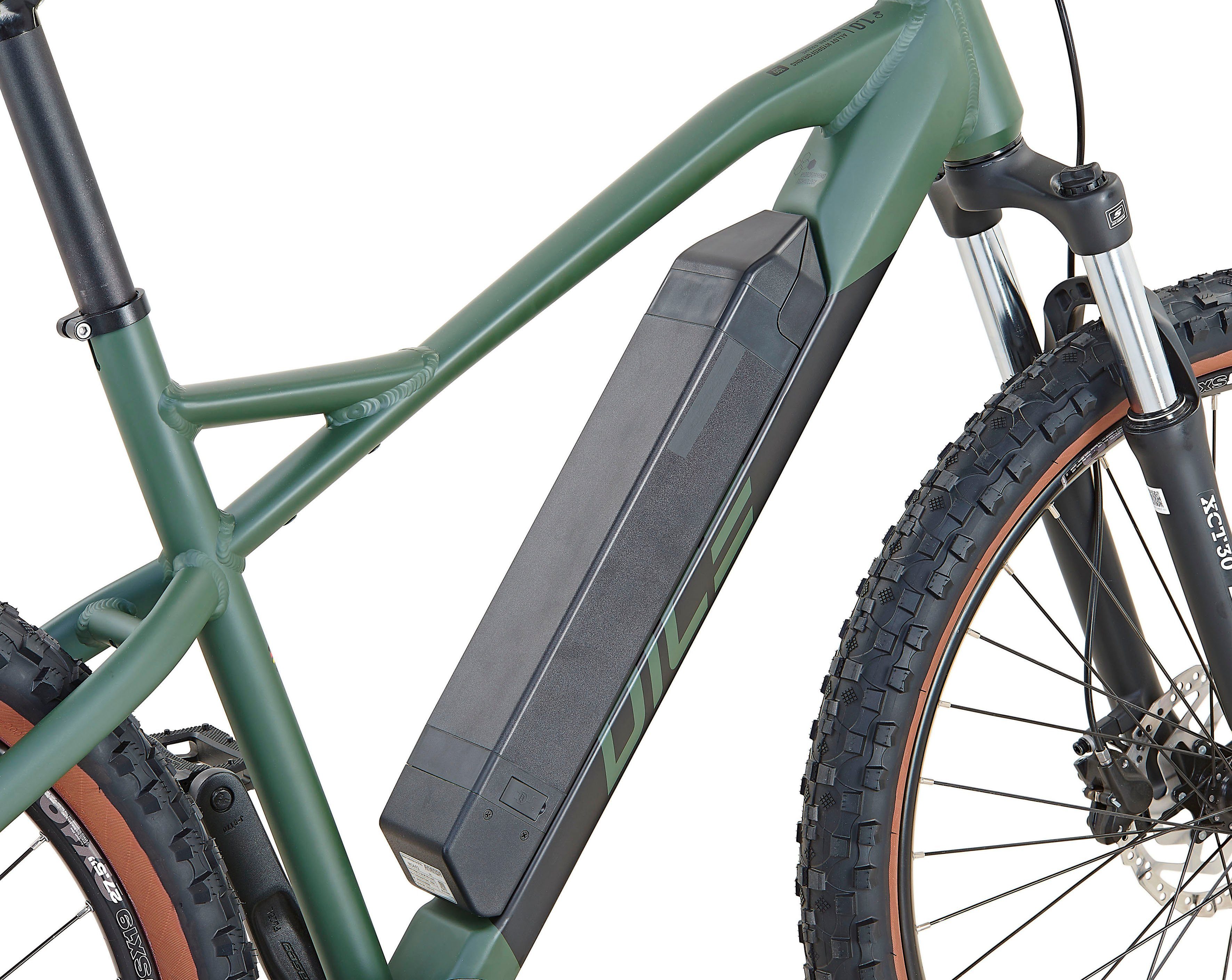 Prophete E-bike DICE 1.0 Pedelec, elektrische fiets voor dames en heren, MTB