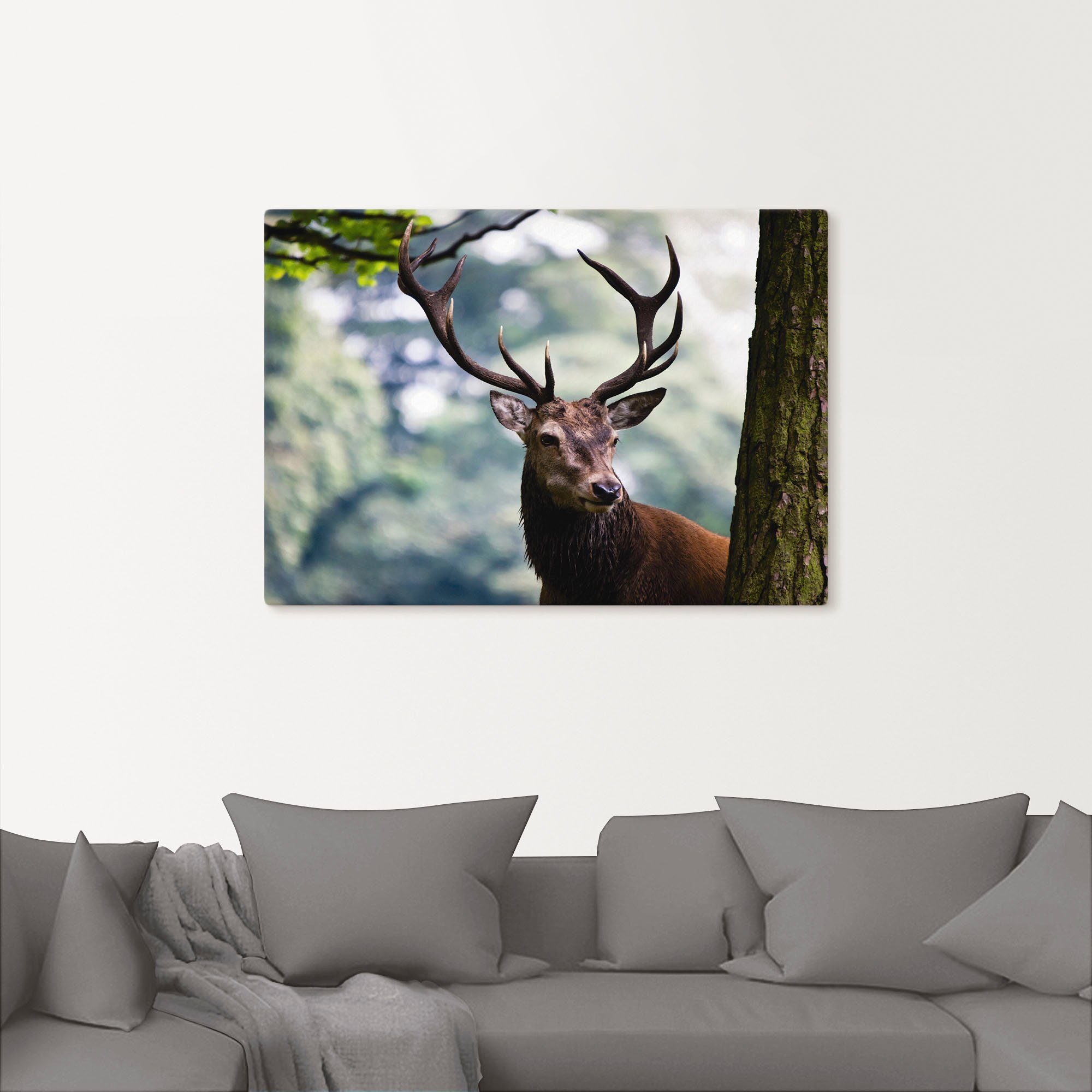Artland Artprint Edelhert als artprint van aluminium, artprint voor buiten, artprint op linnen, poster in verschillende maten. maten