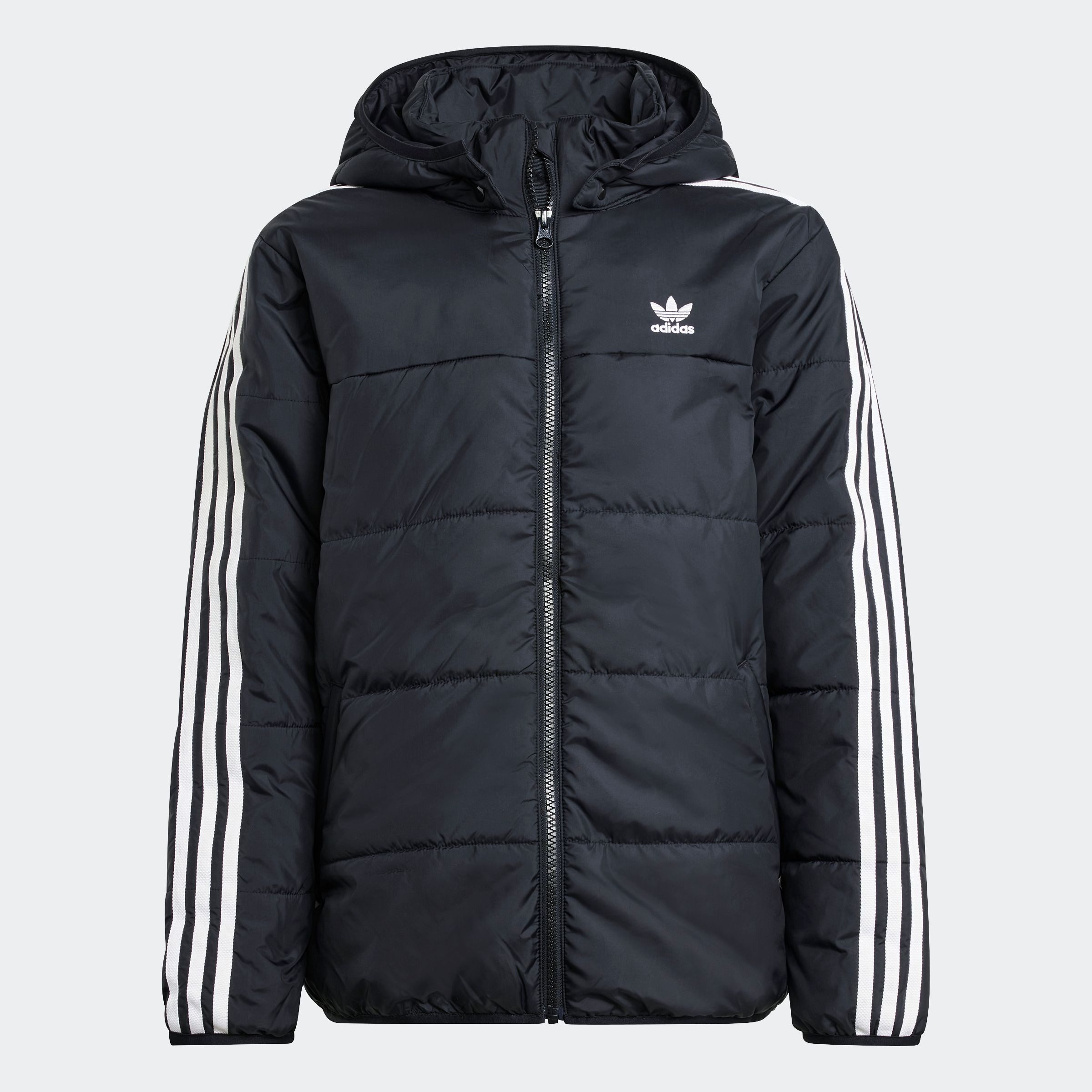 adidas Originals Outdoorjack PADDED JACKET