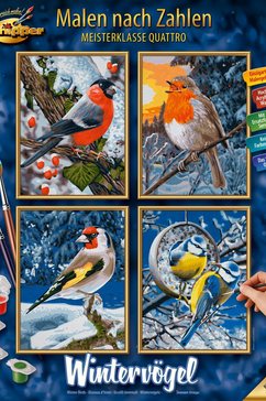 schipper schilderen op nummer meesterklasse quattro - wintervogels made in germany multicolor