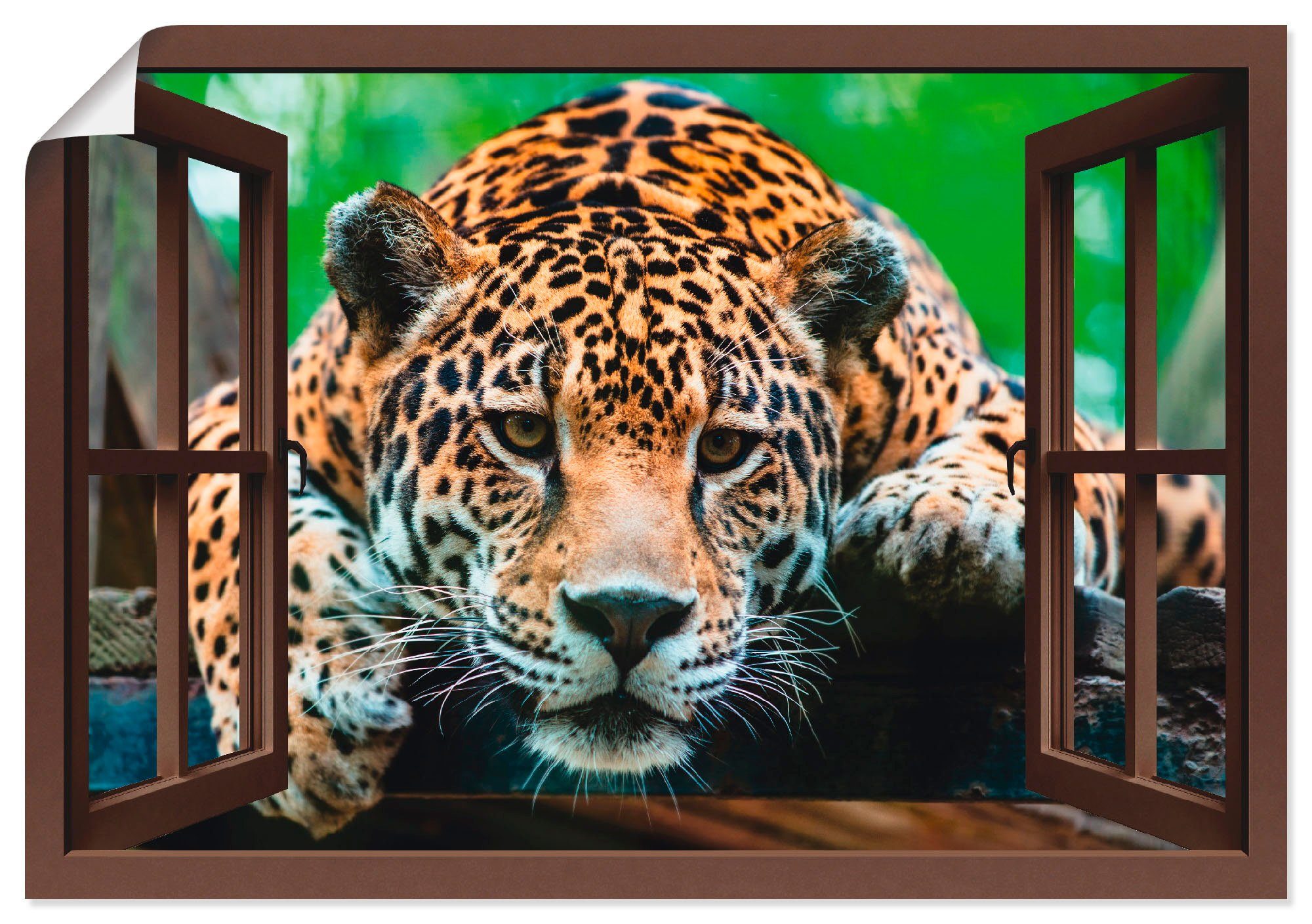 Artland Artprint Blik uit het venster - Zuid-Amerikaanse jaguar in vele afmetingen & productsoorten - artprint van aluminium / artprint voor buiten, artprint op linnen, poster, muu