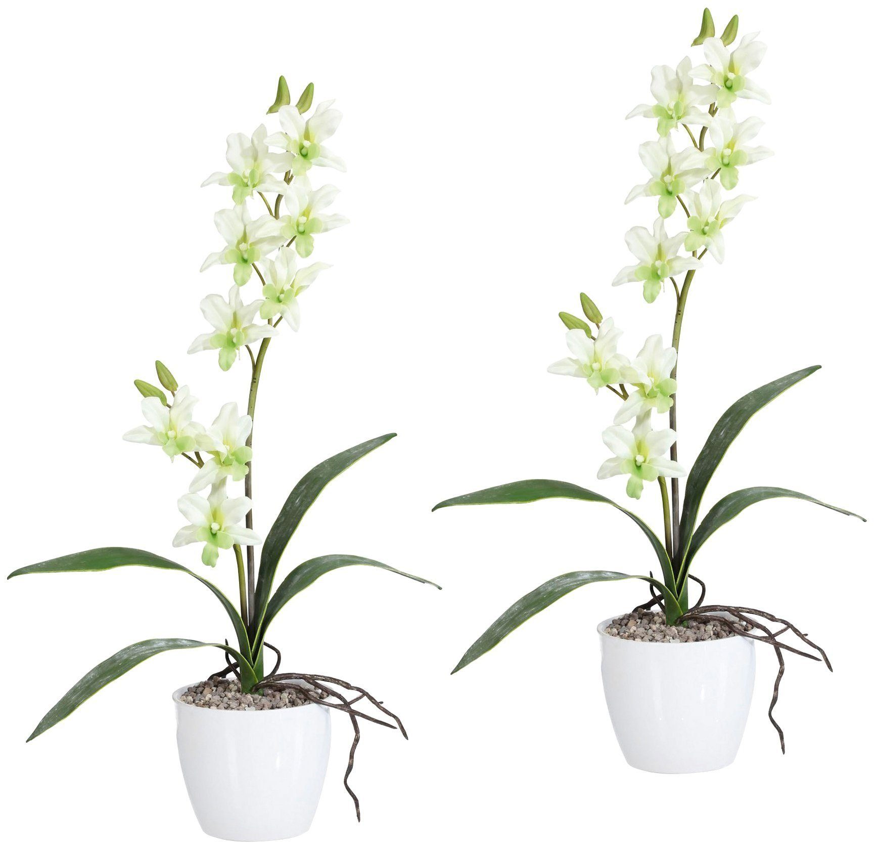 Creativ green Kunstplant Orchidee Dendrobie in een keramische pot (set)