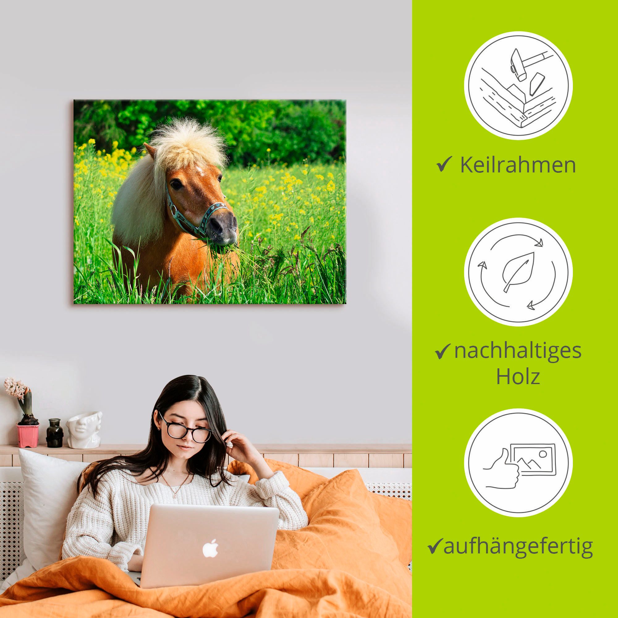 Artland Artprint Shetland pony als artprint op linnen, muursticker in verschillende maten