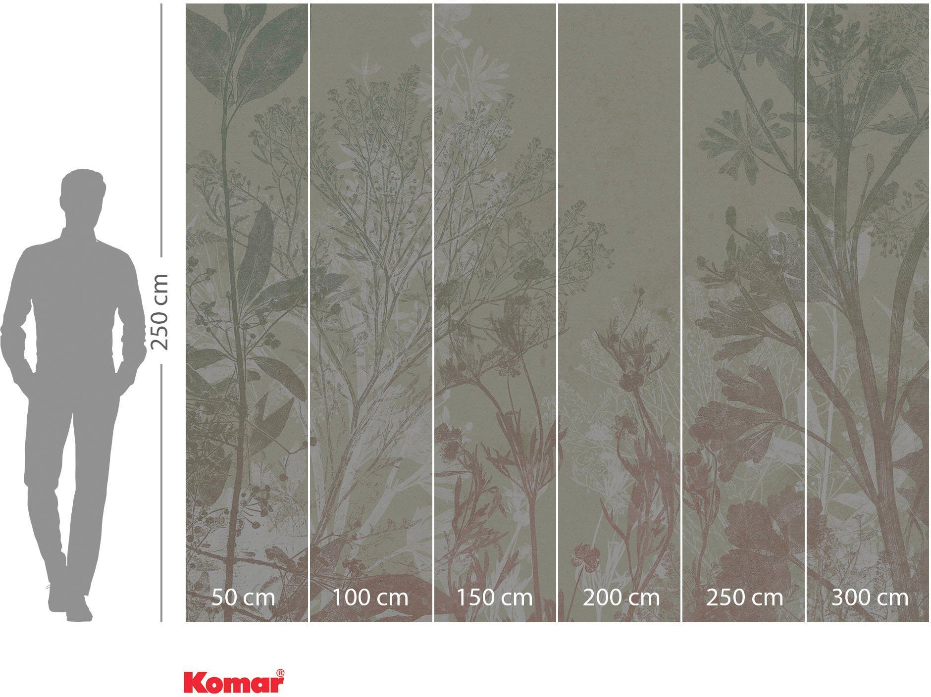 Komar Vliesbehang Digitale print vlies - Healing Harvest - Afmeting 300 x 250 cm (1 stuk)