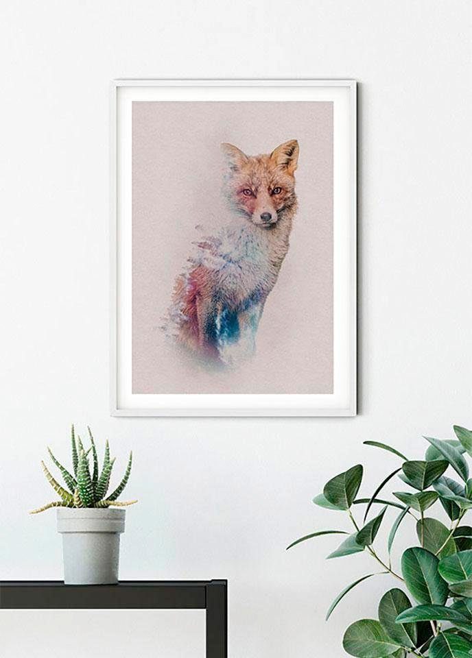 Komar Wanddecoratie Animals forest Fox Wanddecoratie - zonder lijst (1 stuk)