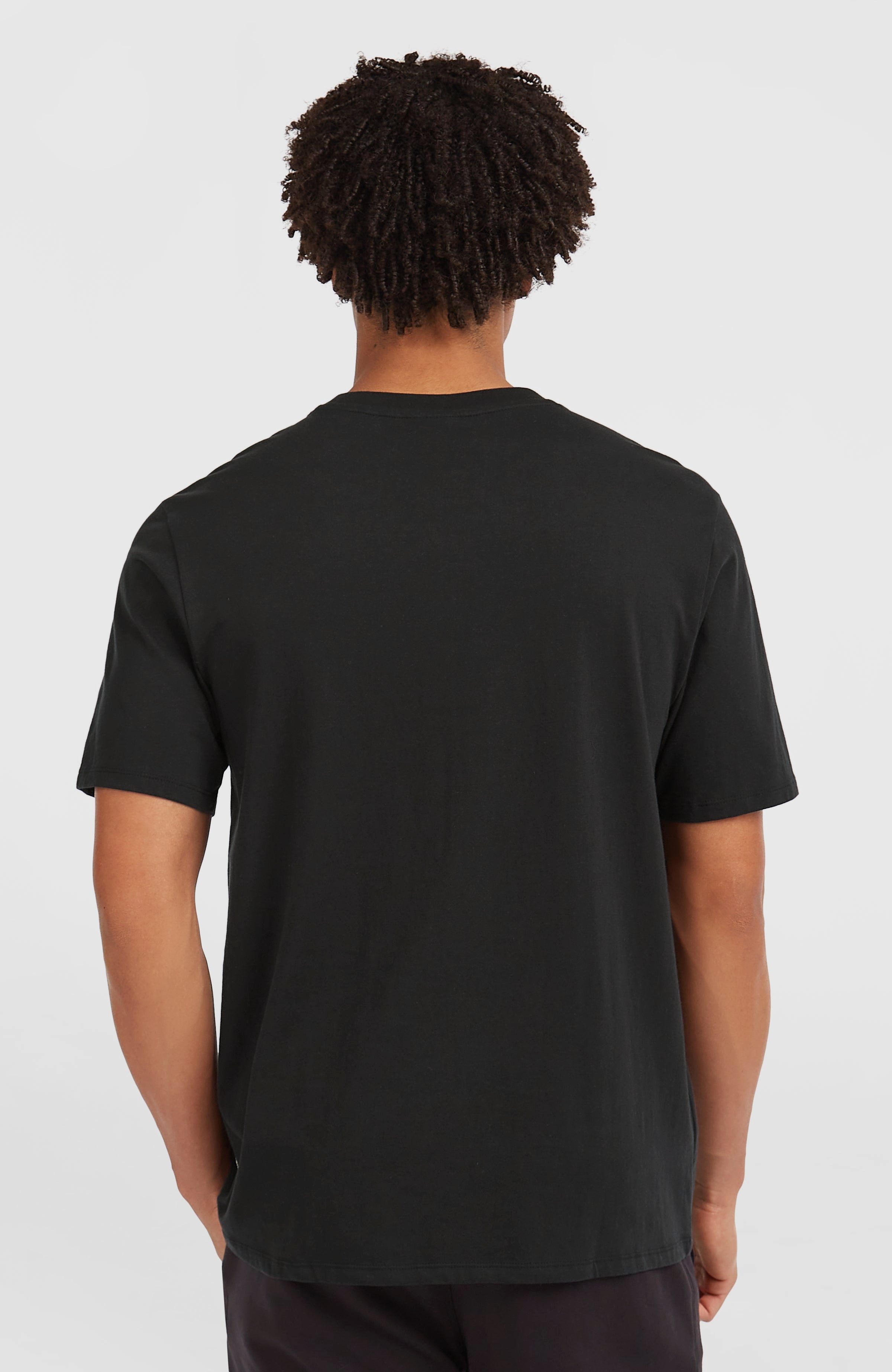 O'Neill T-shirt O'NEILL GRAPHIC T-SHIRT (1-delig)