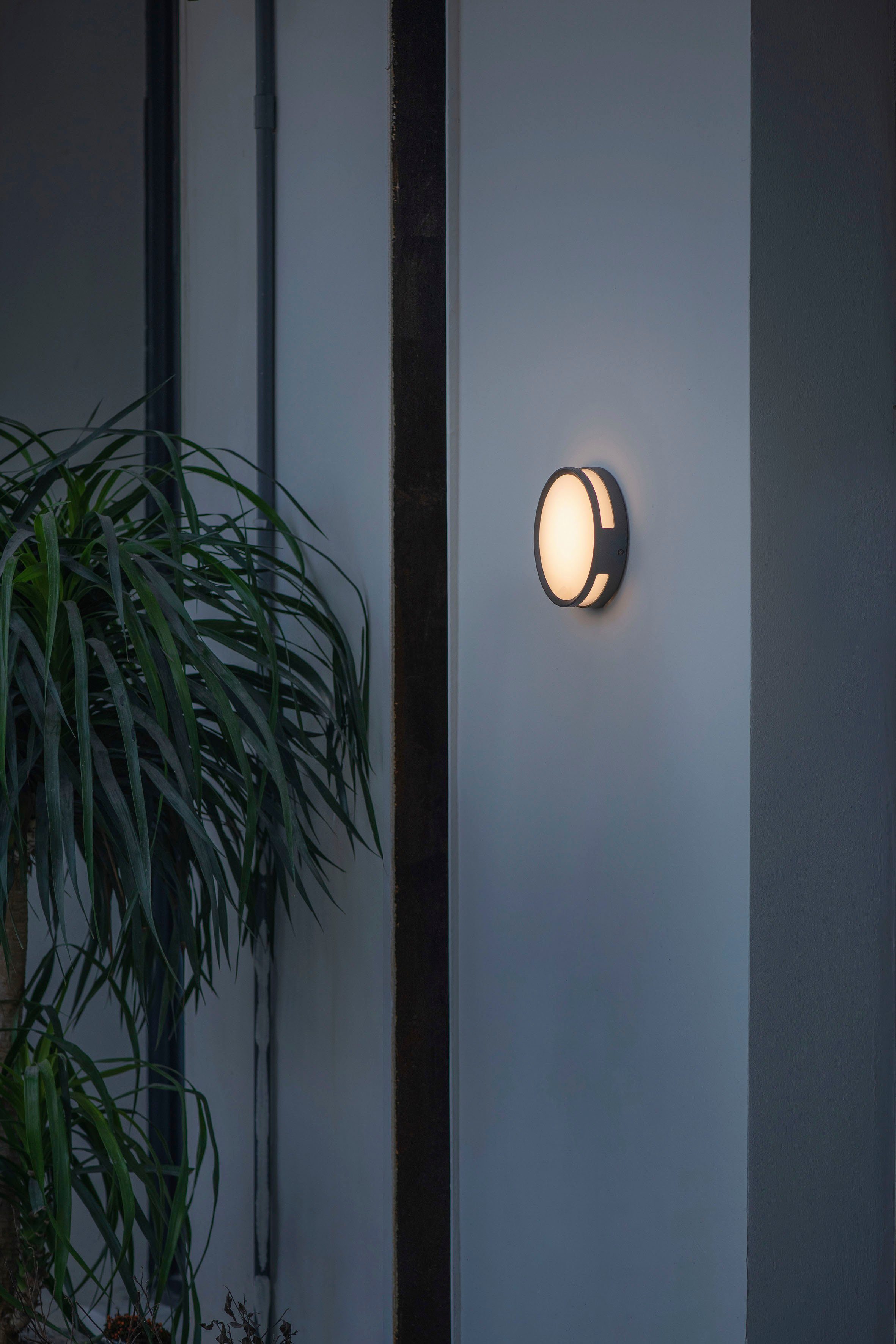 LUTEC Ledwandlamp voor buiten ROLA (1 stuk)
