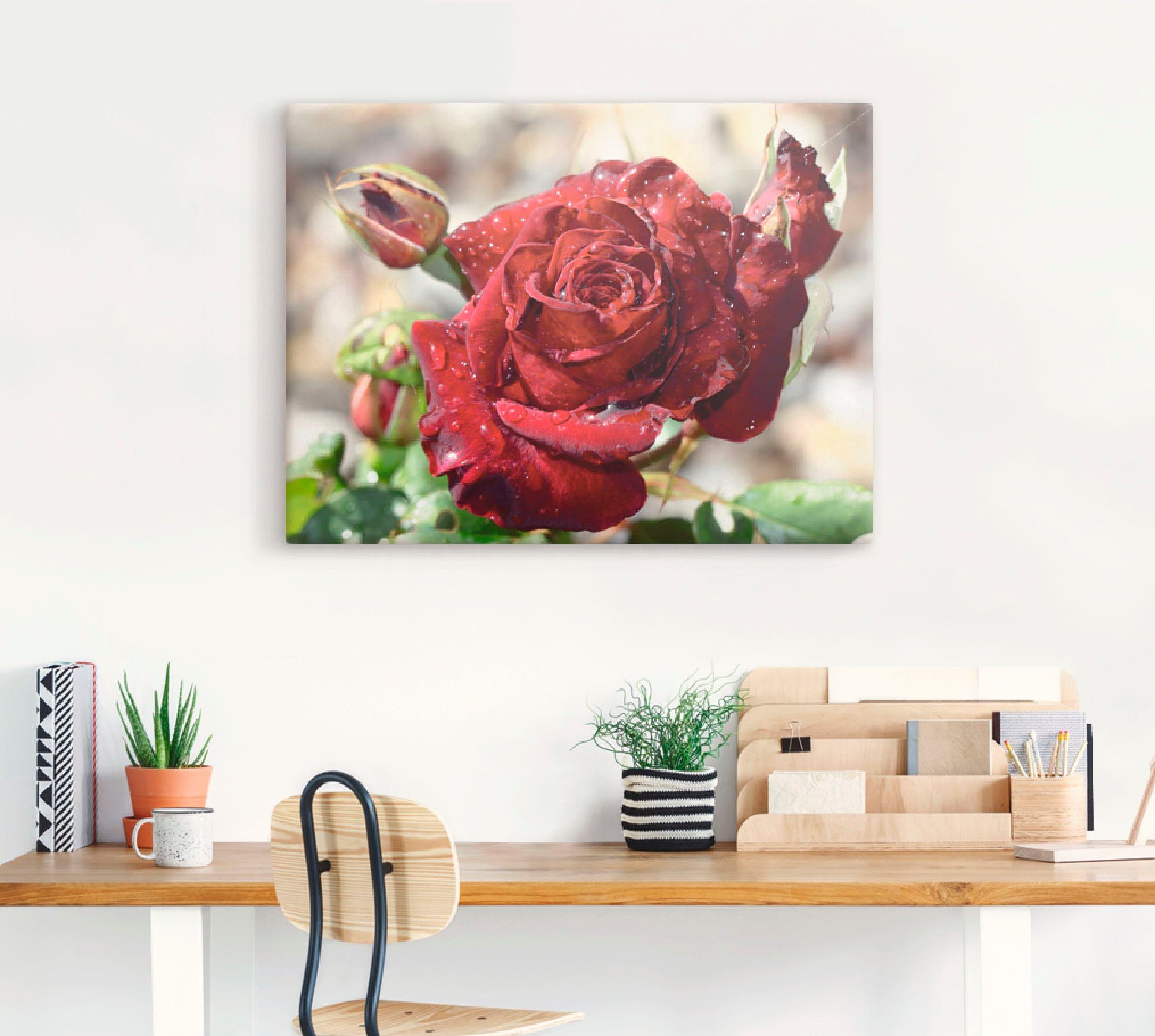 Artland Artprint Roos met druppels als artprint op linnen, poster, muursticker in verschillende maten